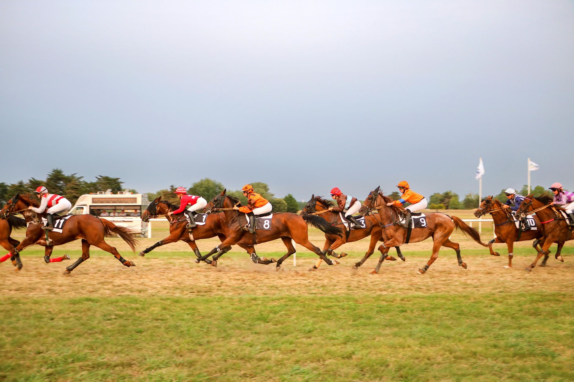 Billion Horse Race: Goldman Leads AI IPO Battle Ahead