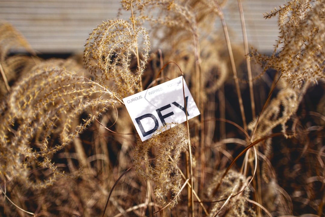 Boomers Target High-Yield ETFs Paying That 10% Yield Now