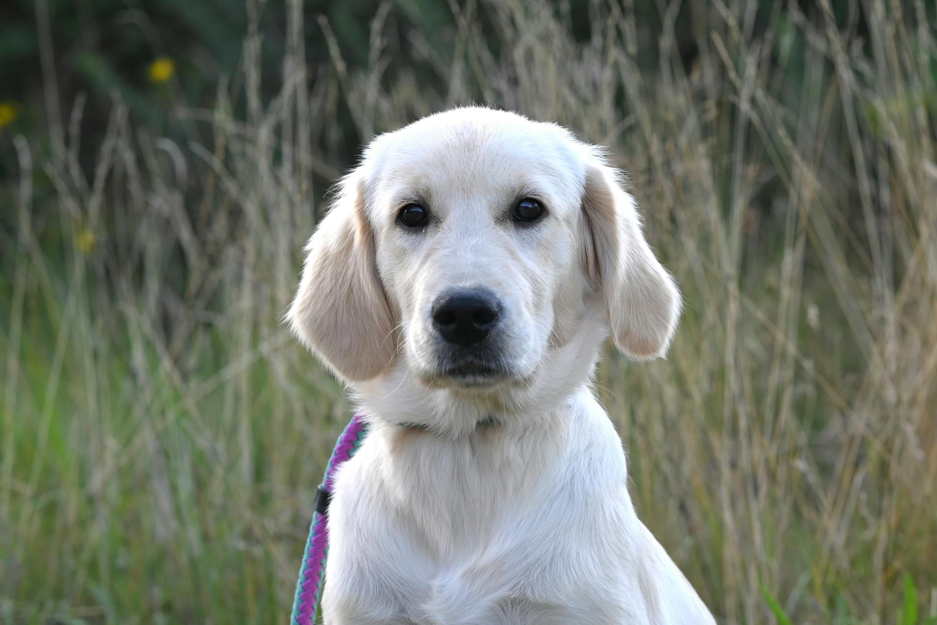 Bybit Retrieves $300M for Thousands of Users with AI Guard