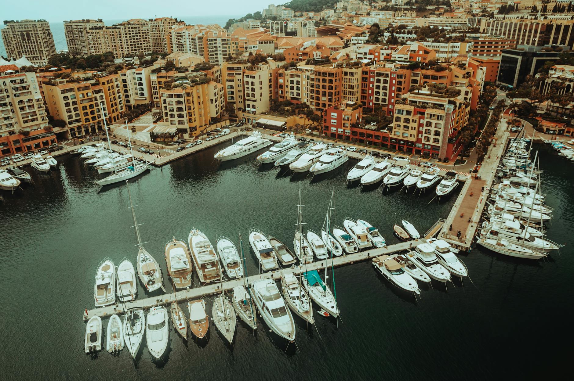 CCM Enters Bidding Harbors, Faces Rival Cash Offer