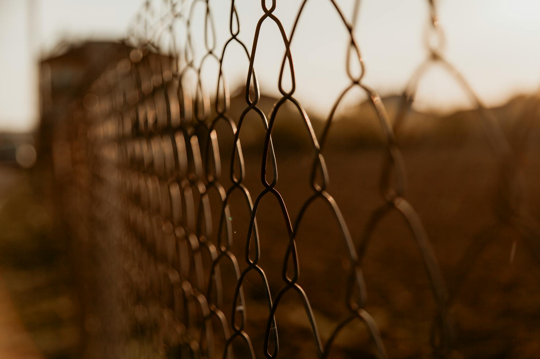 Chainlink Emerges Unlikely Winner as CCIP Gains Ground