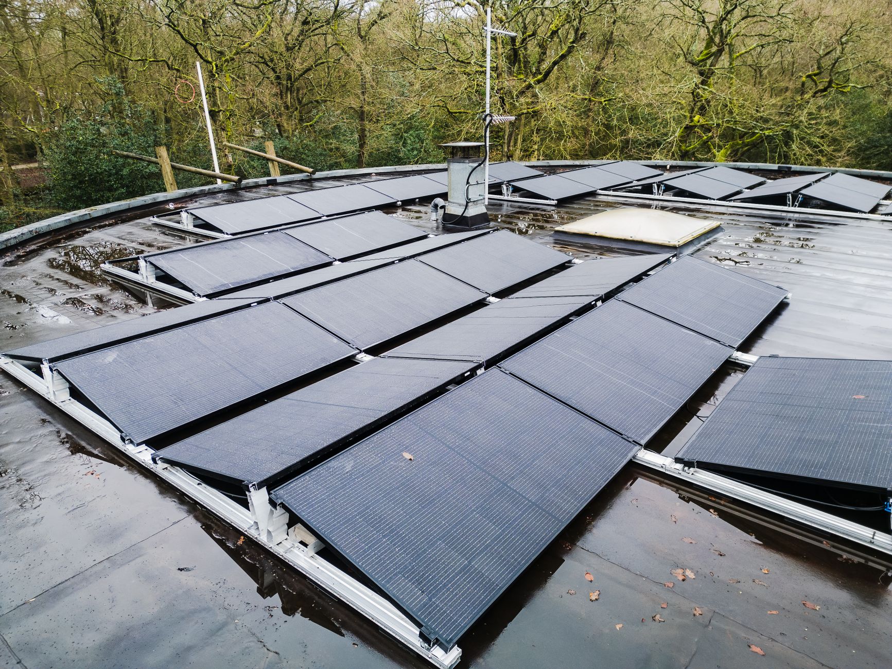 Chief Sustainability Officers Pitch: Climate Action Profits