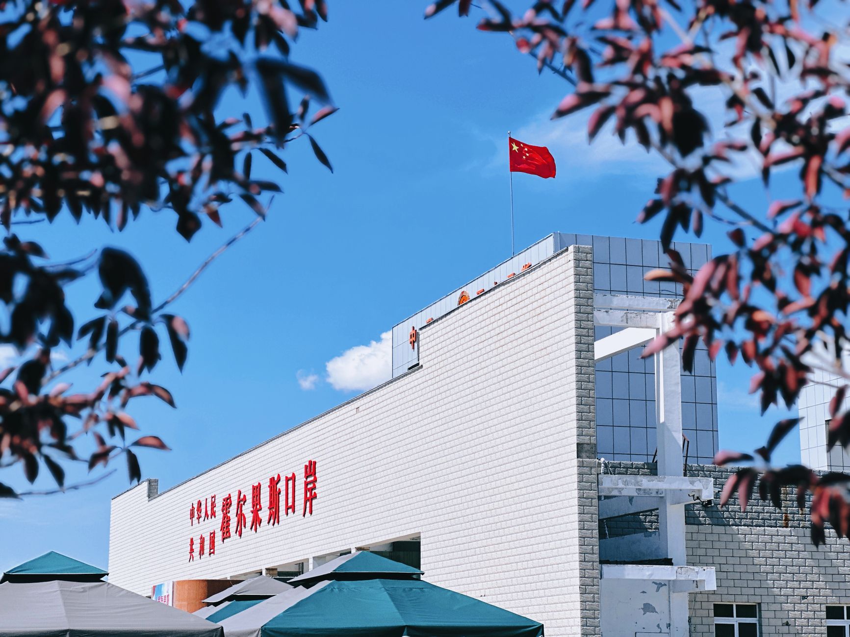Chinese Firms Ditch Nvidia’s AI Chips for Domestic Tech
