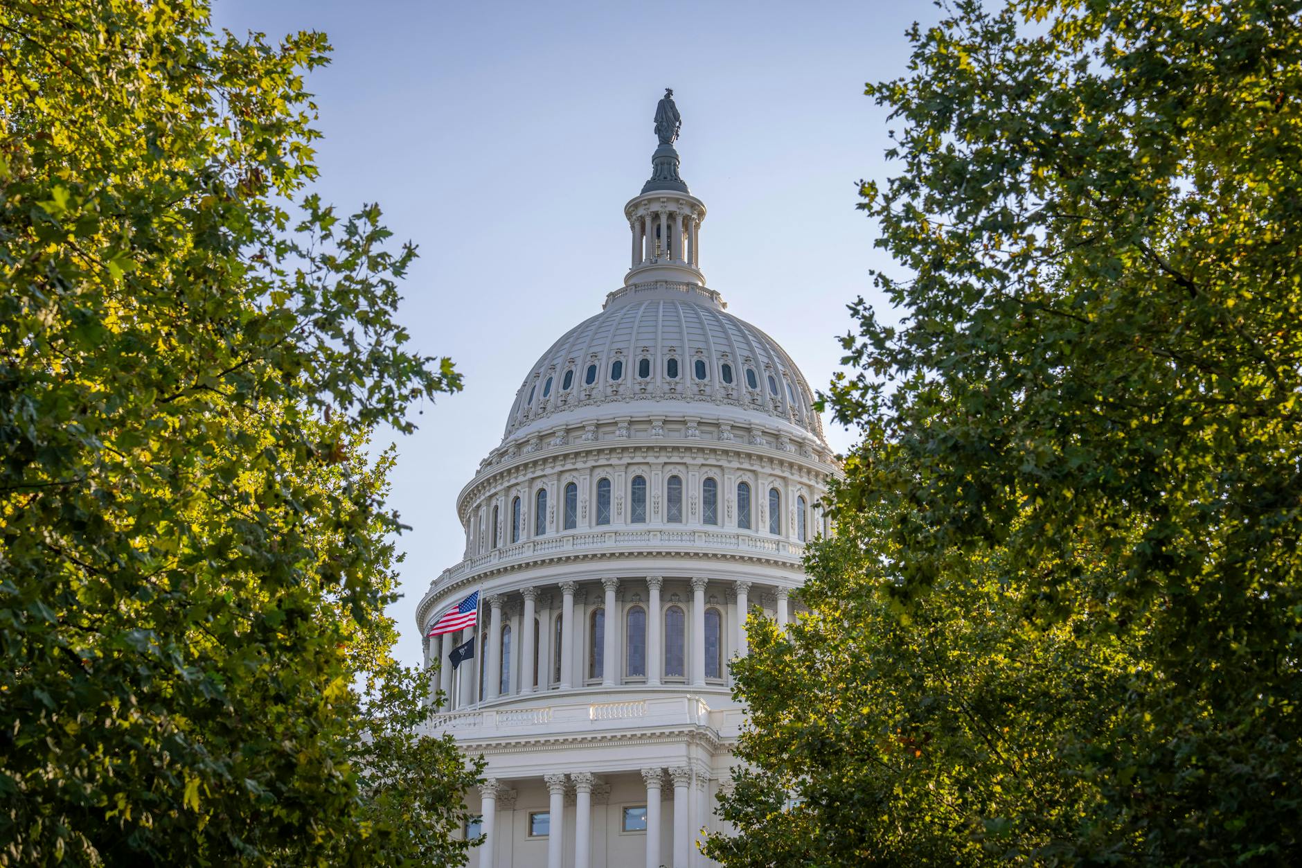 Clarity Just Cleared Senate: Crypto Markets Rally Now
