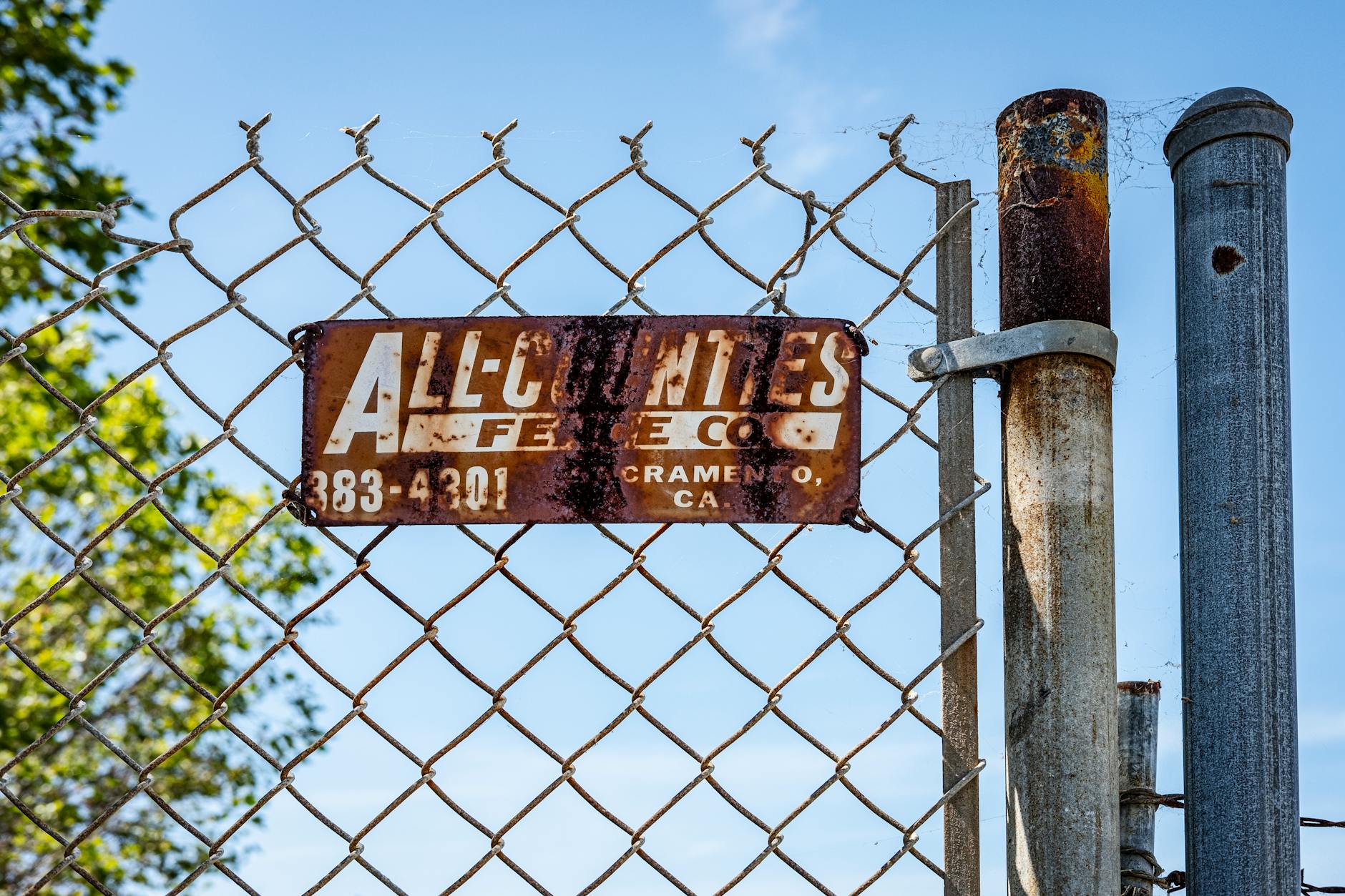 Co-Author of Viral AI Post Reveals He Shorted Those Stocks