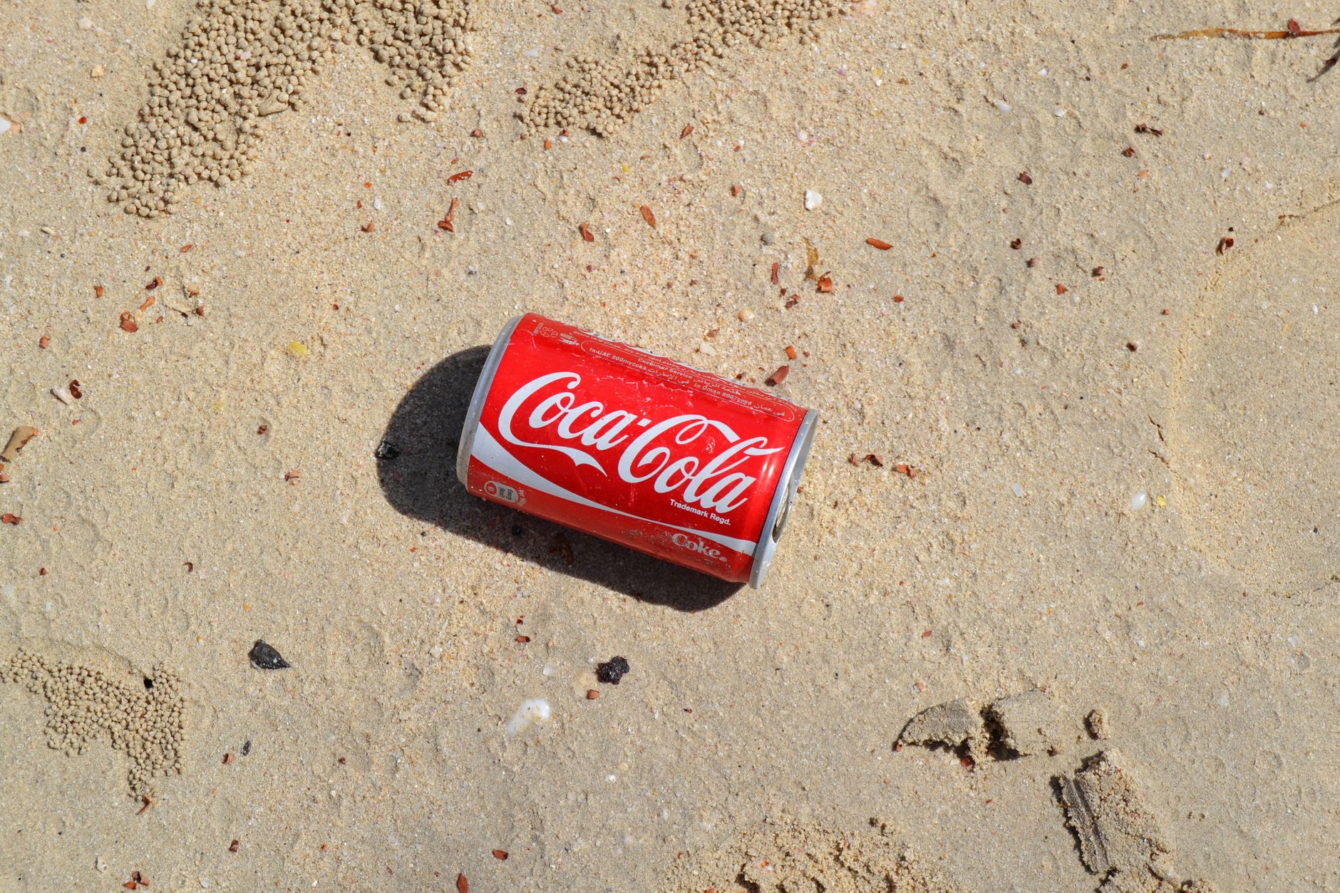Coca Cola Price Prediction: Two-Year Target Revisited