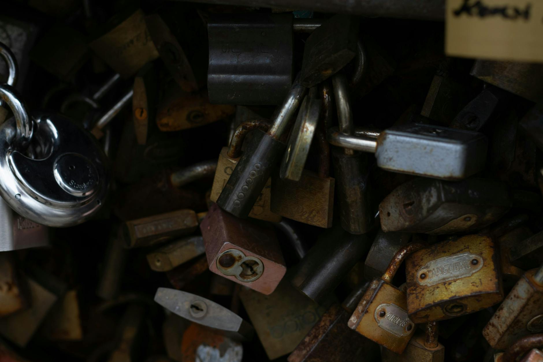 Coinbase Surges as Lummis Locks Clarity Act for Stablecoins