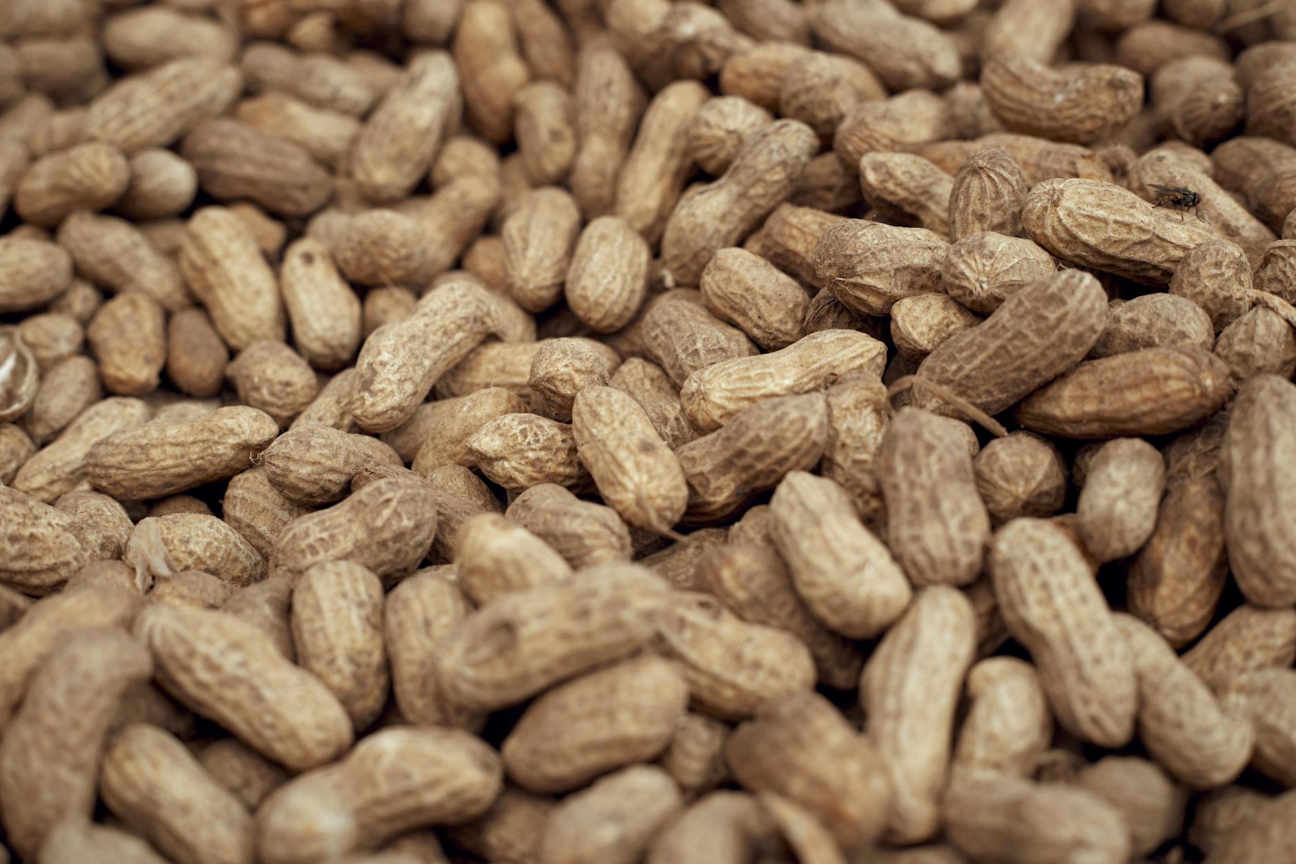 Companies Abandoning ‘Peanut Butter’ Raises in AI Era