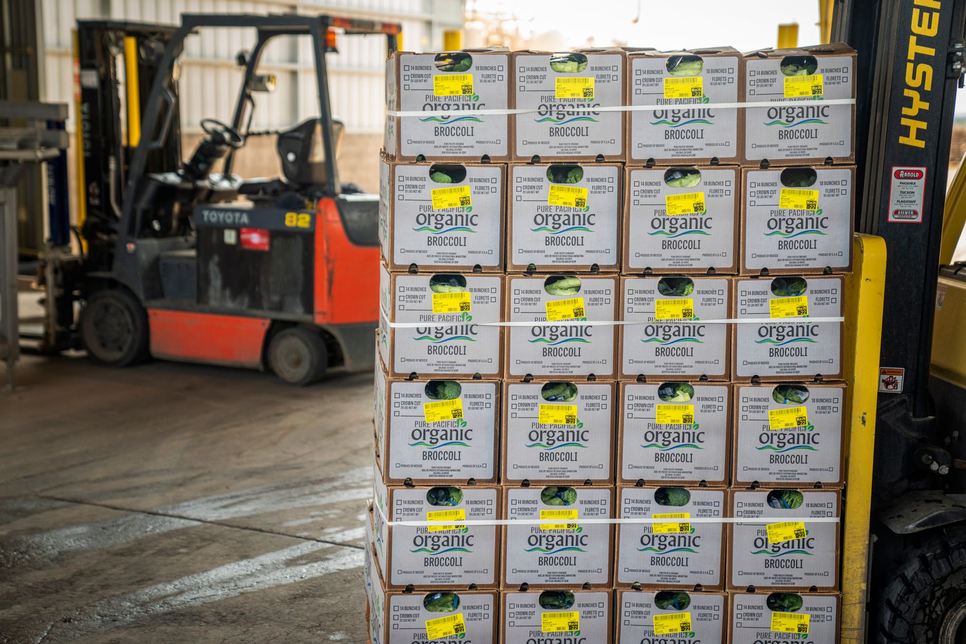 Costco’s $250 Billion Expansion Strategy Delivers Growth