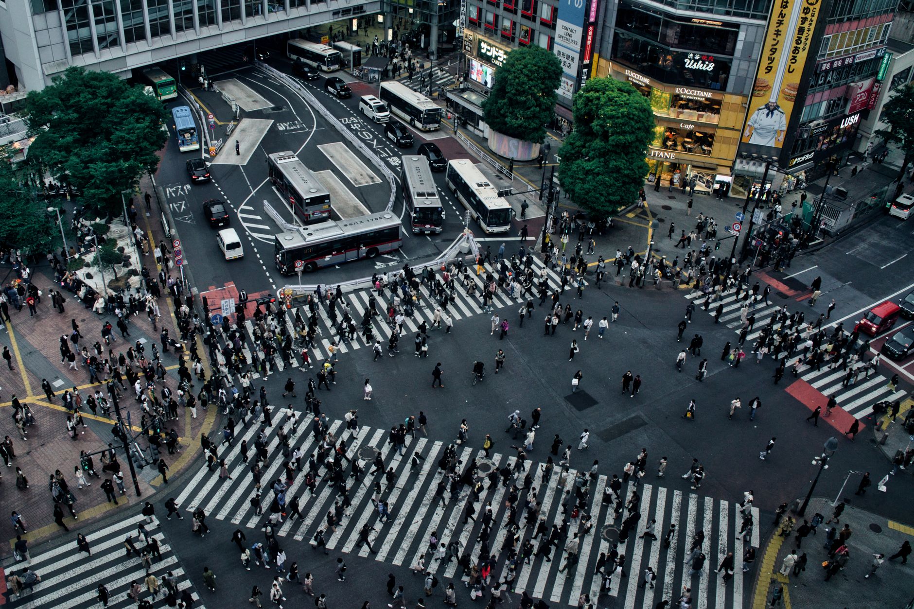 Could Japan Become XRP’s Biggest Growth Market This Year