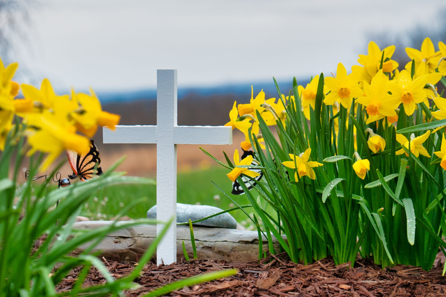 Death Cross Lying: Wall Street Bets Hershey and Vertex