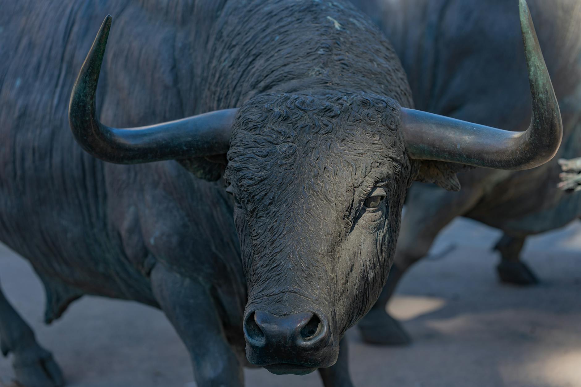 Disney Bull Bear: What Big Changes Mean for Investors