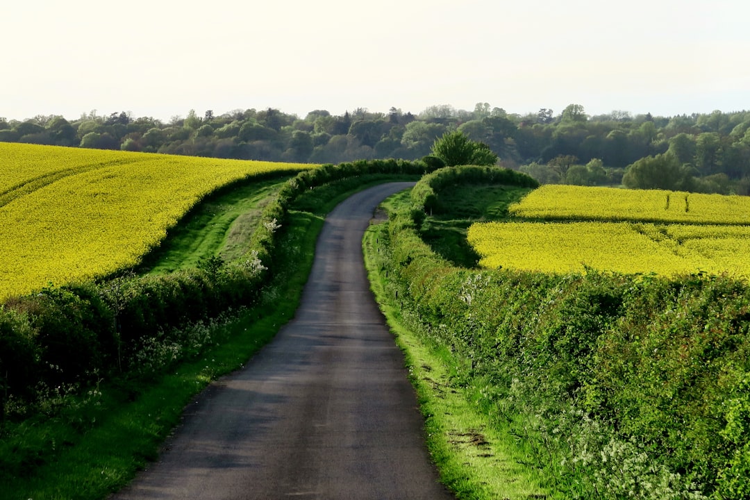 Dividend Growth Path That Turns $500K Into Six Figure Income