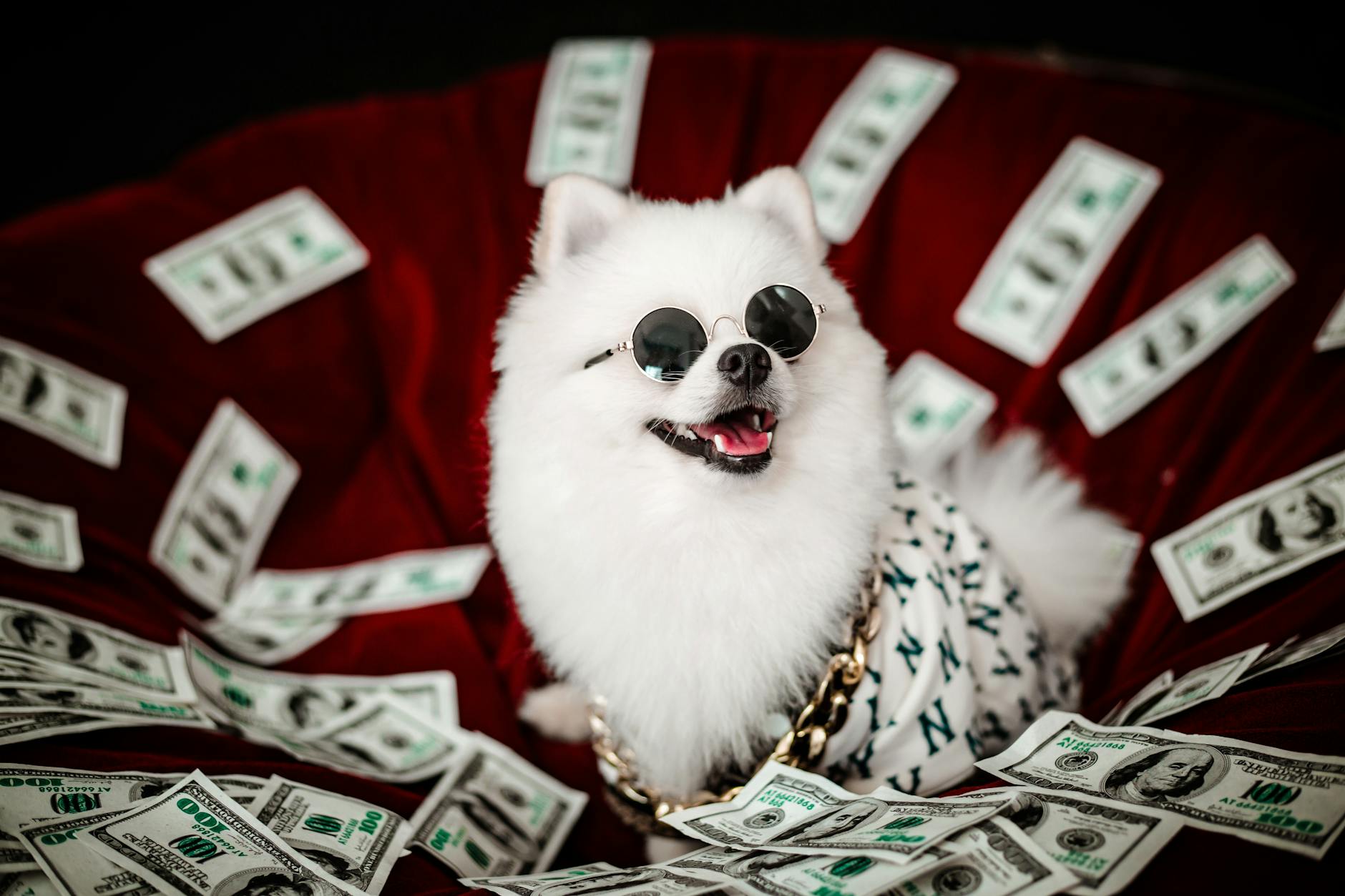 Dogecoin Surges Month as Sell Signal Emerges in BTC Market