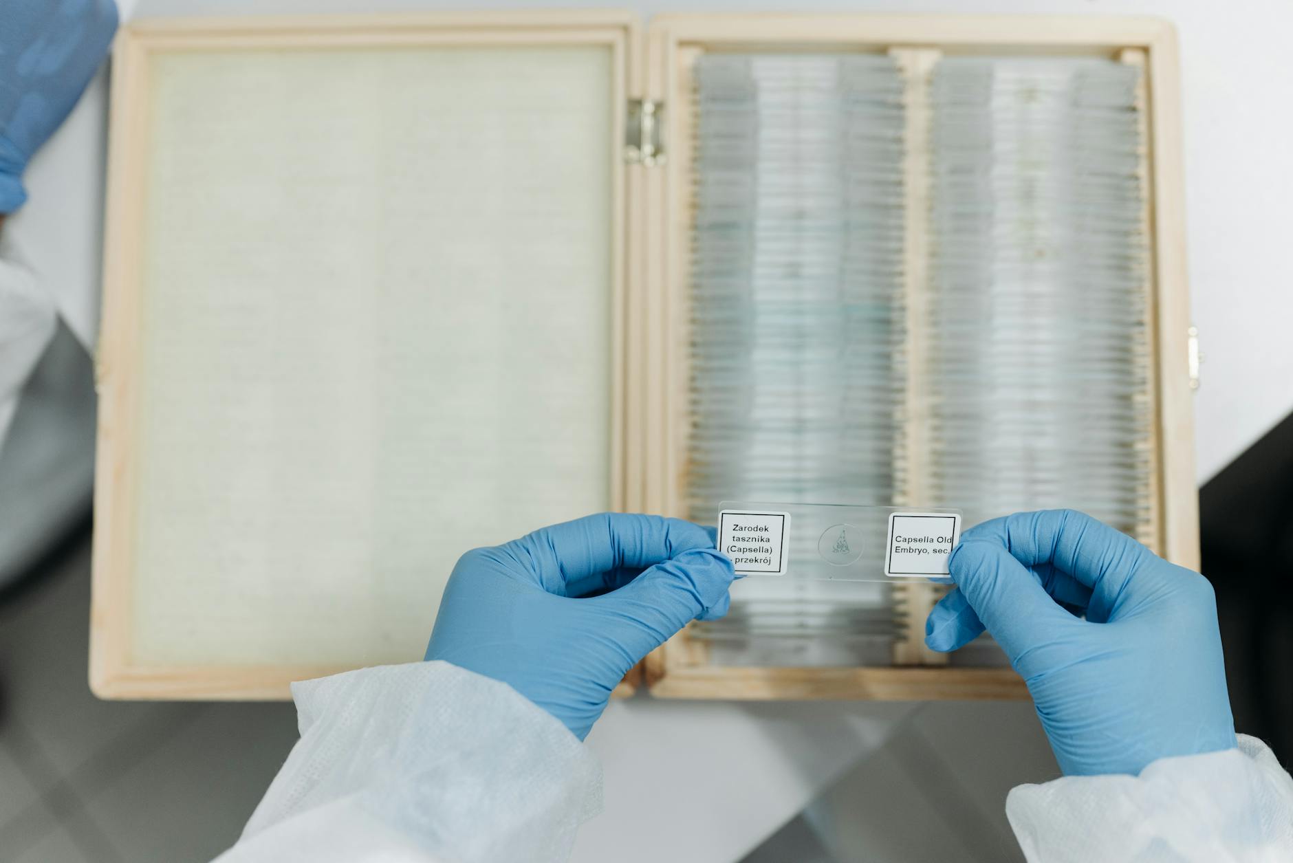 Dow Slides 800 Points as Tariff and AI Fears Roil Markets