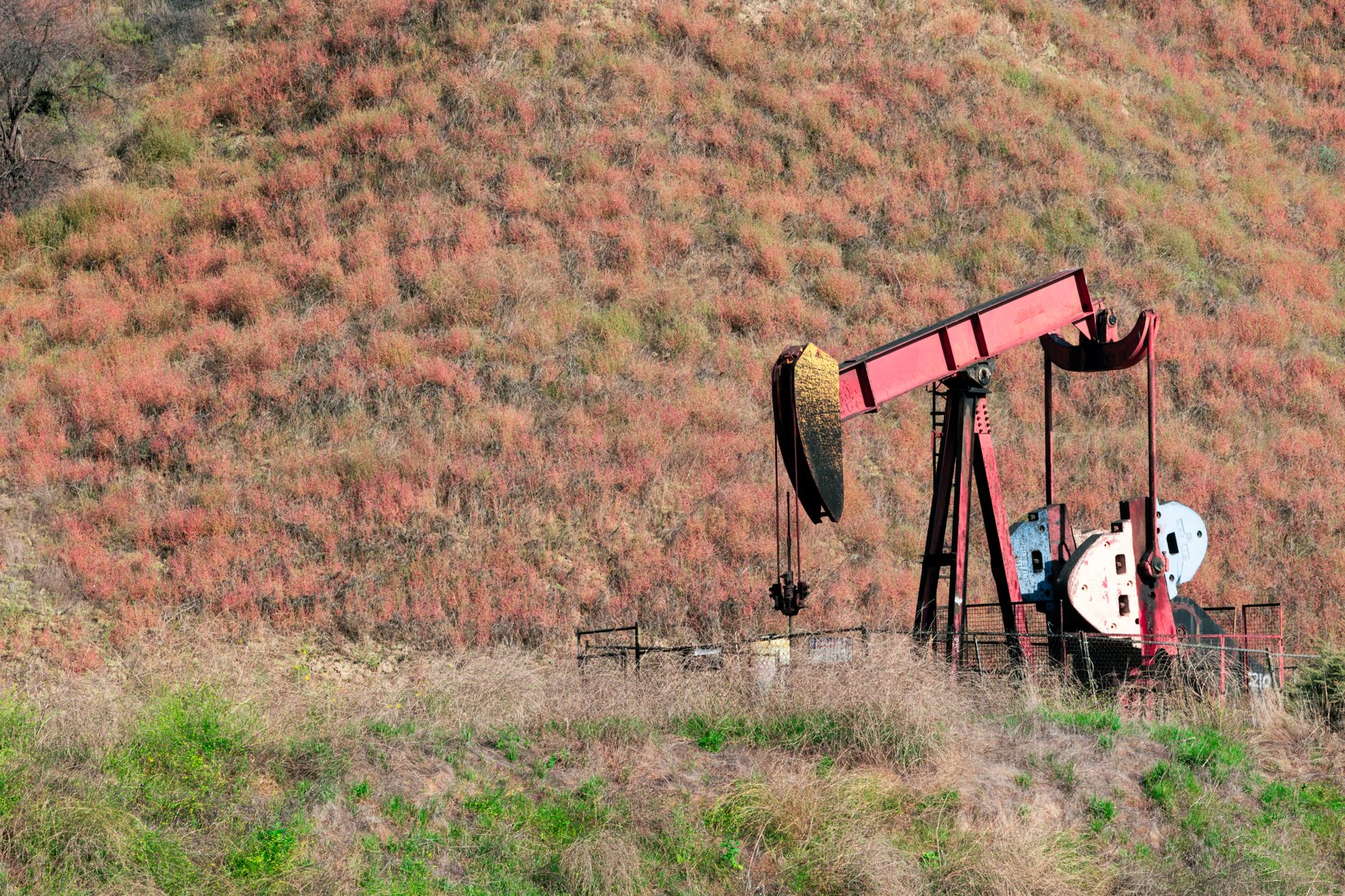 Drilling Rises Longest U.S. Run Since 2022 as Prices Jump
