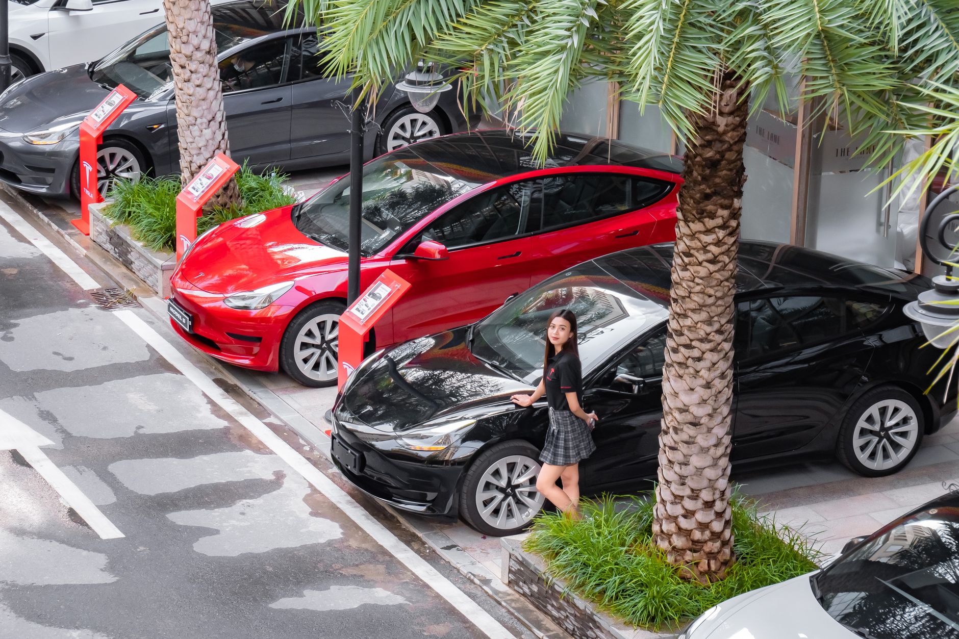 Elon Musk Just Dealt Major SpaceX Roadshow News Today