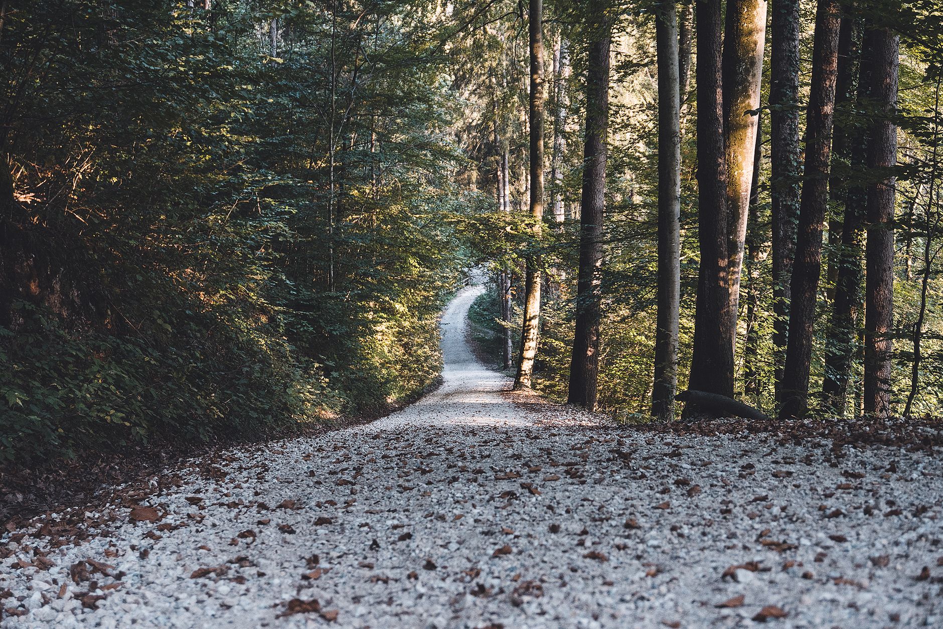 Eth's Path Beyond Depends on Key Barrier, Analysts Say
