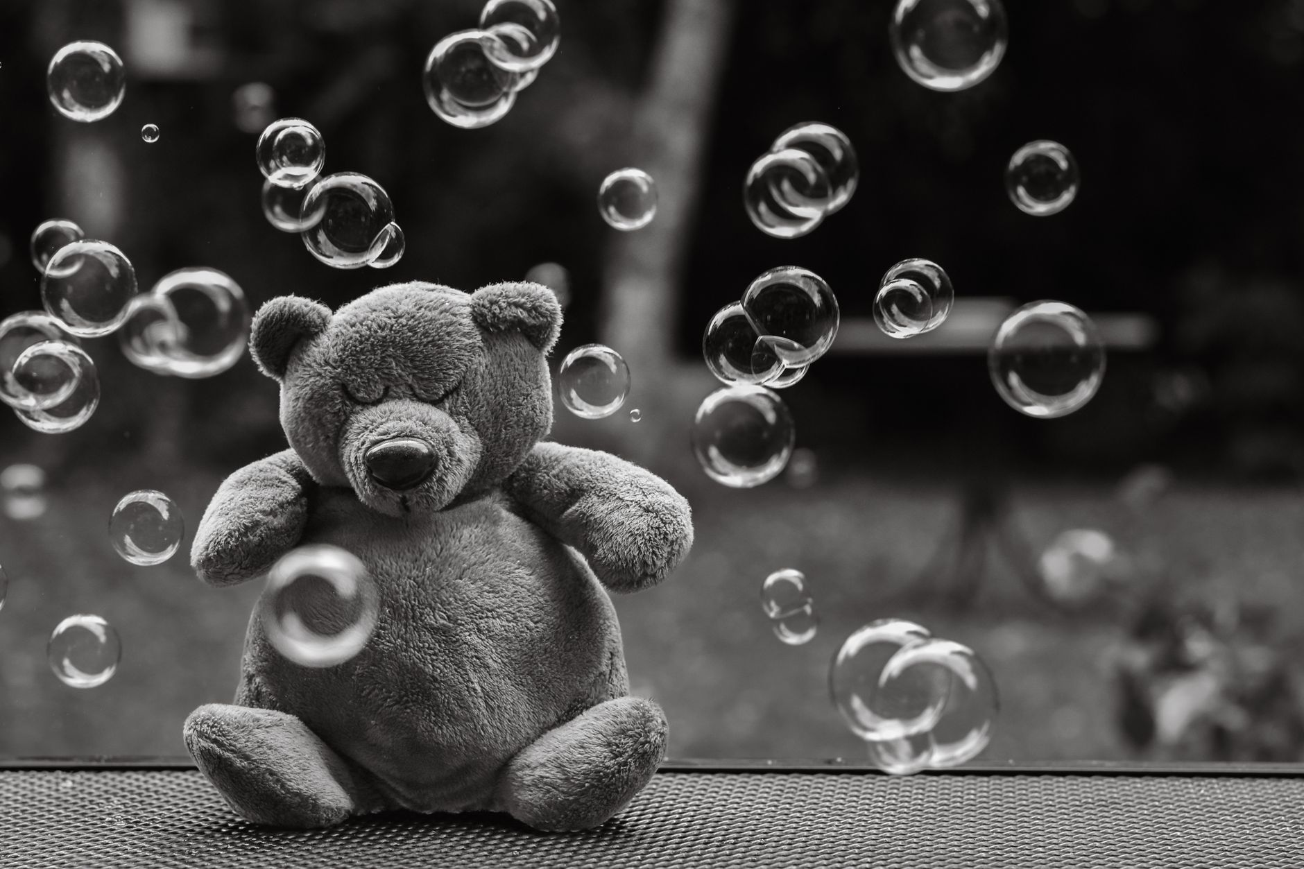 Every Memory Stock Bear: Is Micron the Best Buy Now