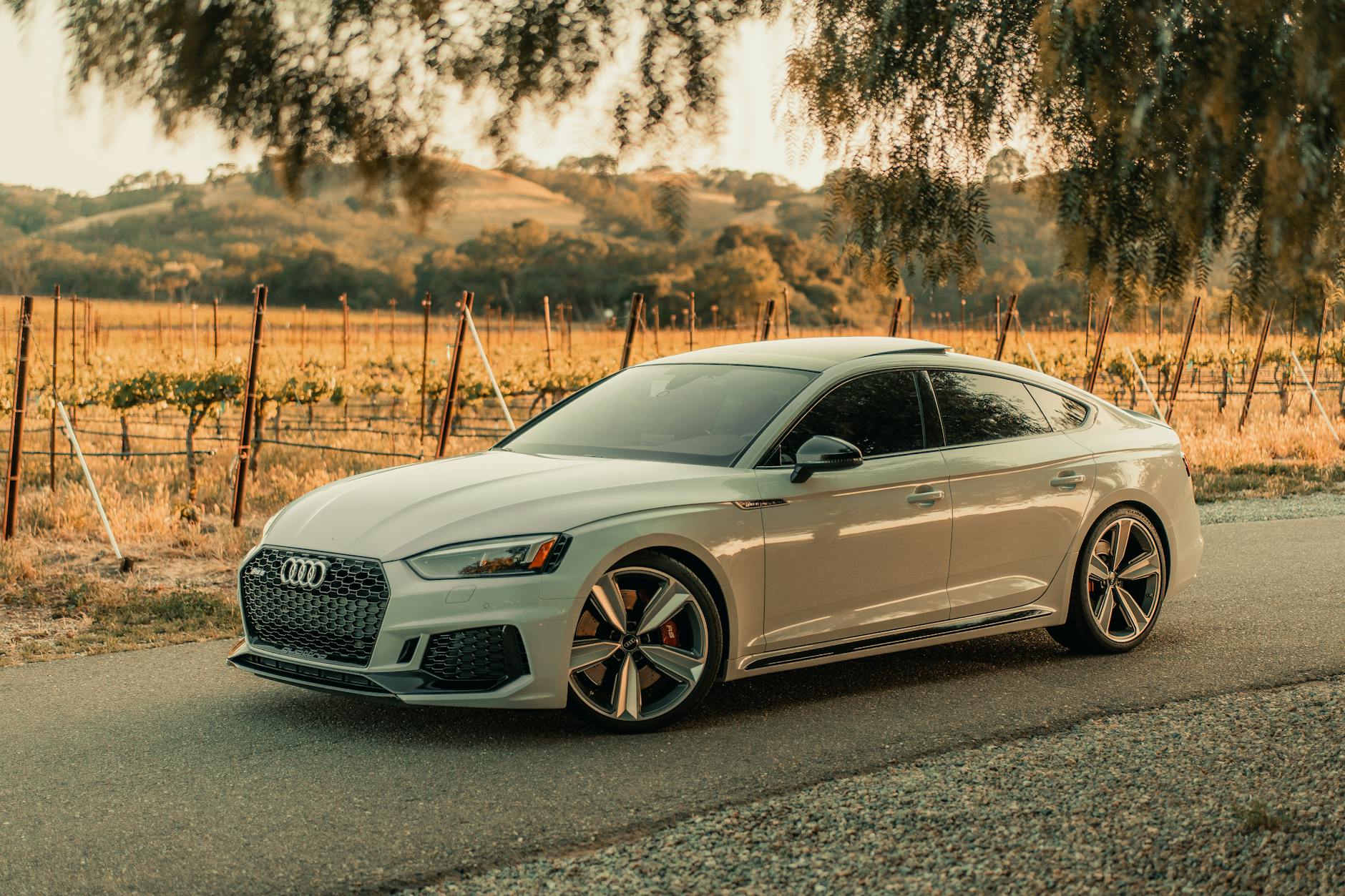 Exclusive: Venture Giant A16Z Targets $2B Crypto Fund