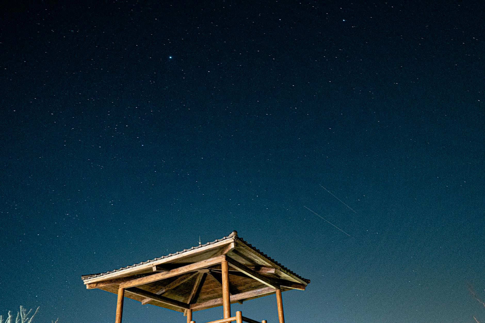 Feds Seize Million Tether Linked to Pig-Butchering Scams