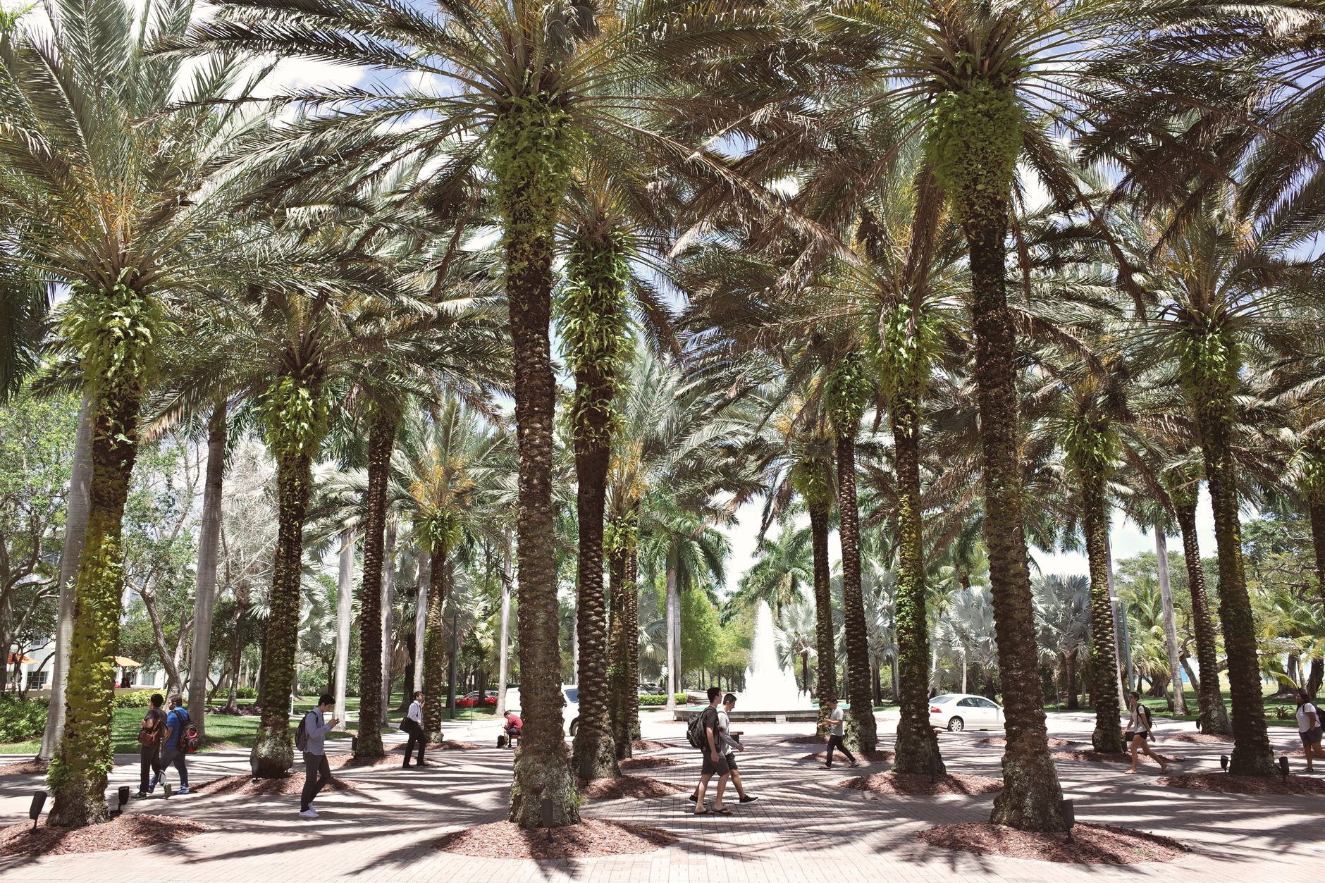 Florida Renames Palm Beach Airport to Donald J. Trump Intl