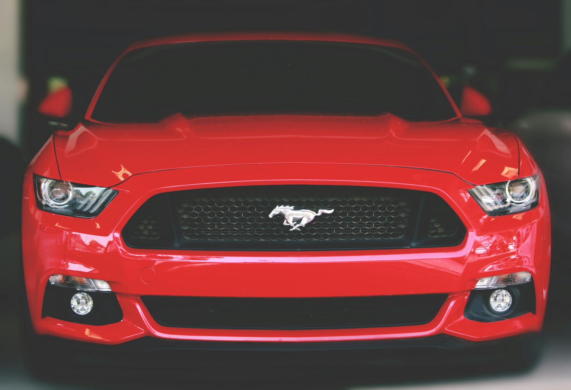 Ford Today: Outperforming Other Car Stocks Amid Rally