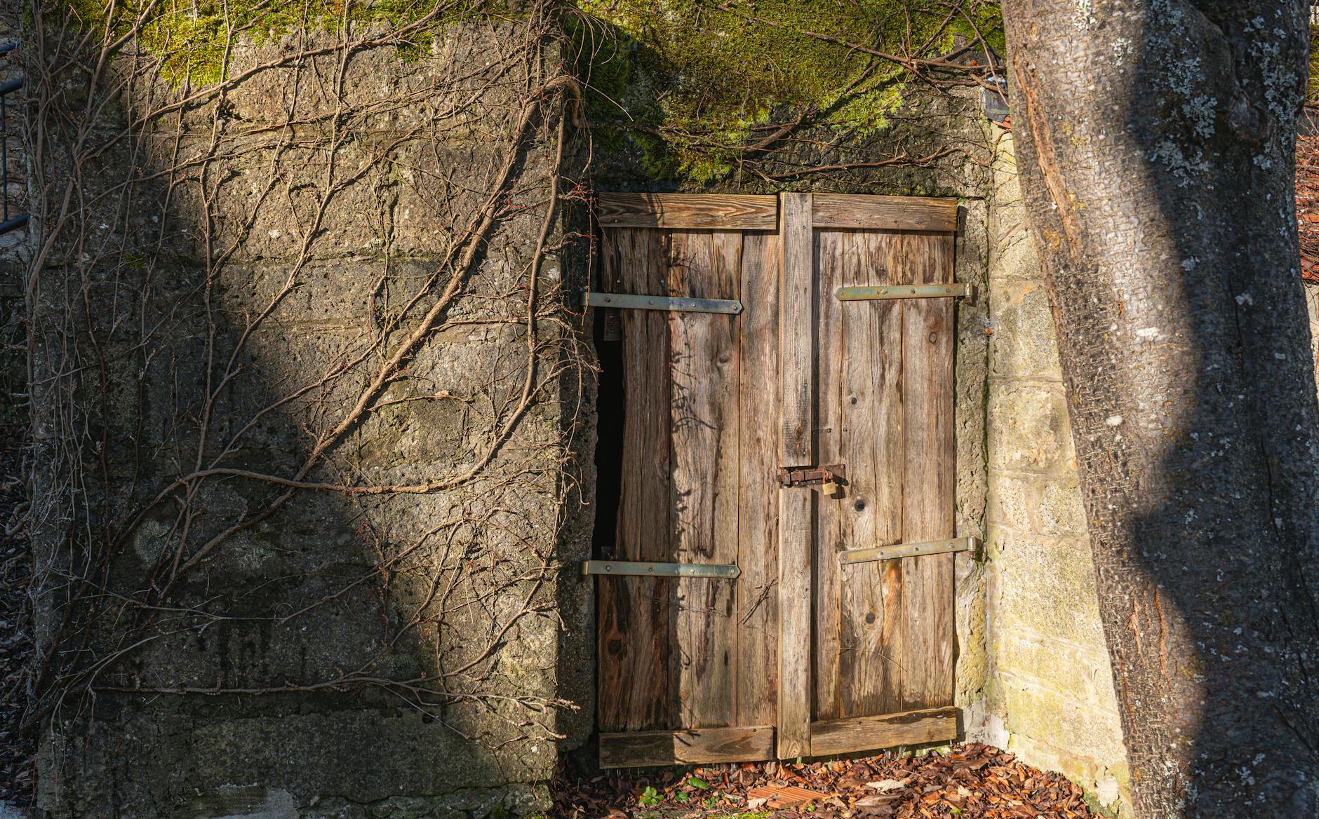 Forget Opendoor Technologies: This High-Yield REIT