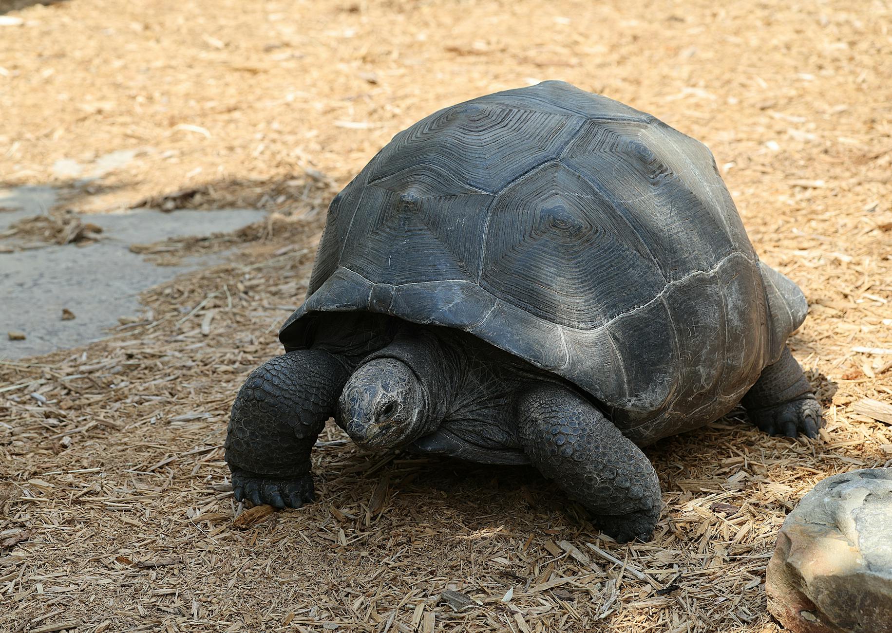 Funding: TradFi Giants Like BlackRock Bet on DeFi