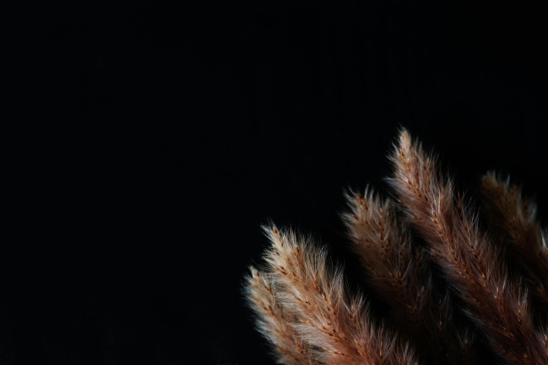 Gen Z Fuels Tangible Goods Market Revival Across Books and Vinyl