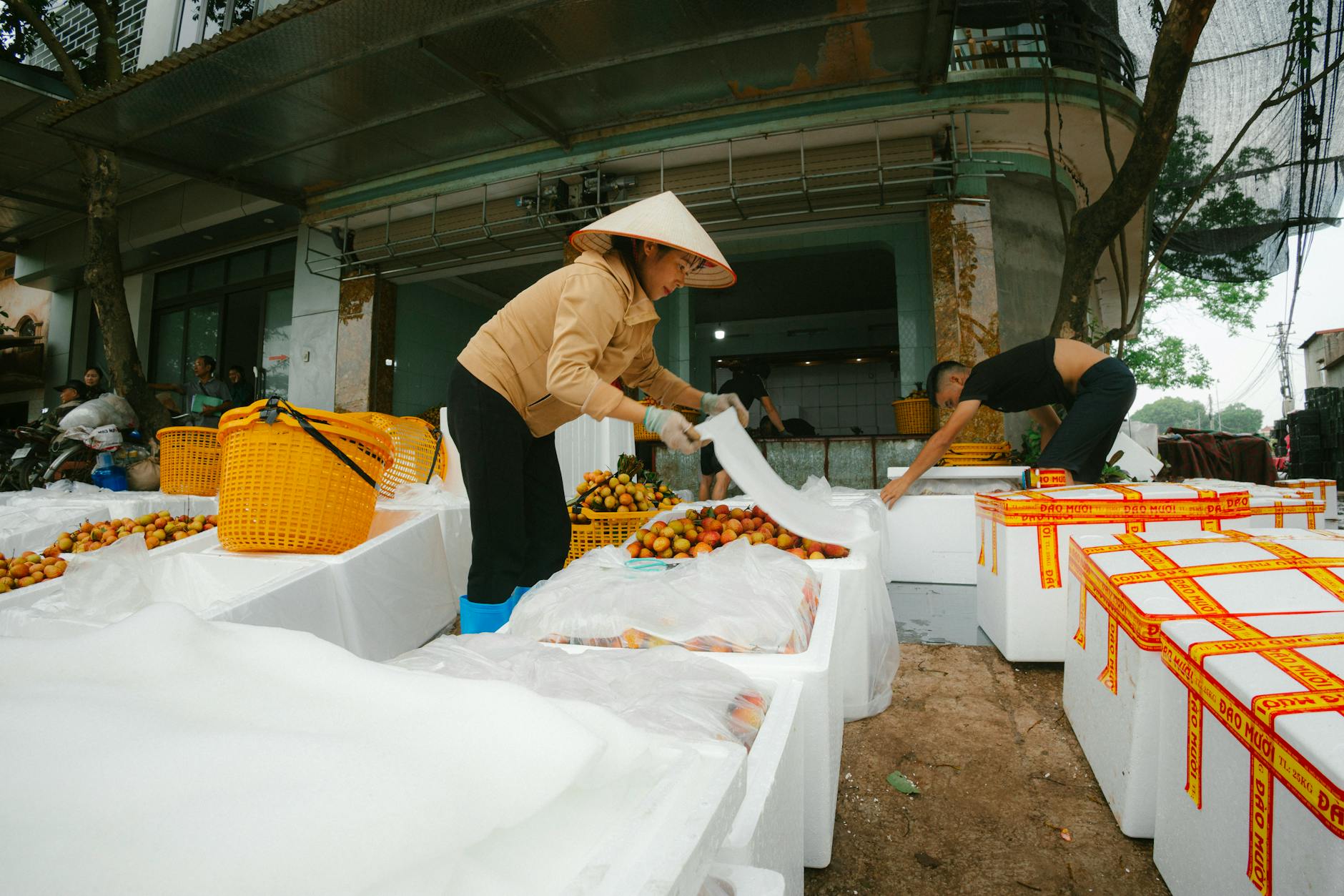 Global Luxury Housing Markets Show Relief as 2026 Stabilizes