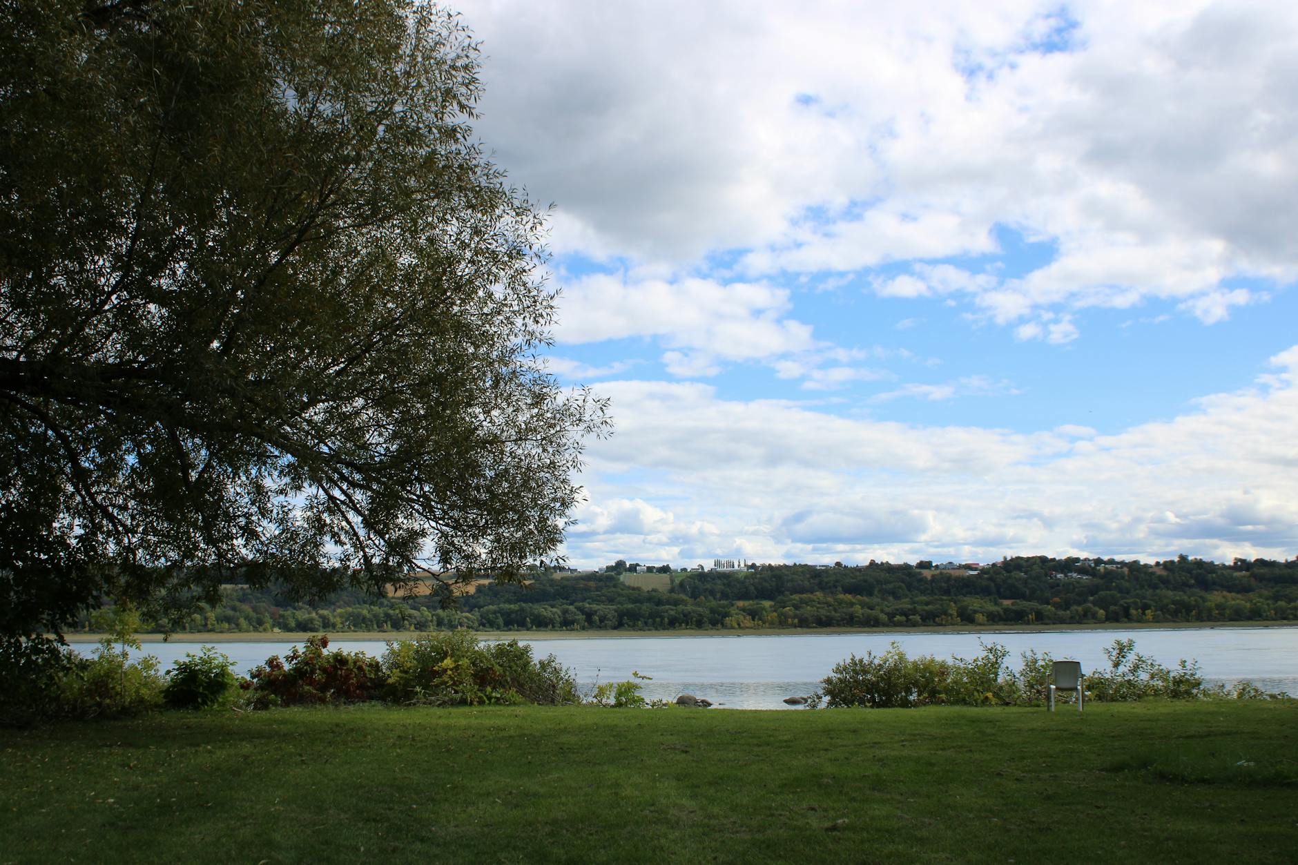 Goldman Sachs Says Hedge Funds and Mutual Funds Favor Five Stocks