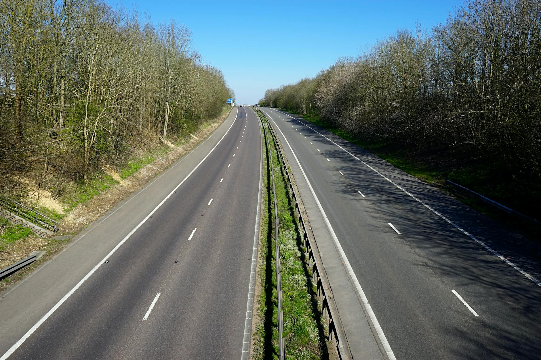 Great Divide: Walmart Ultimate Hedge in 2026 Outlook