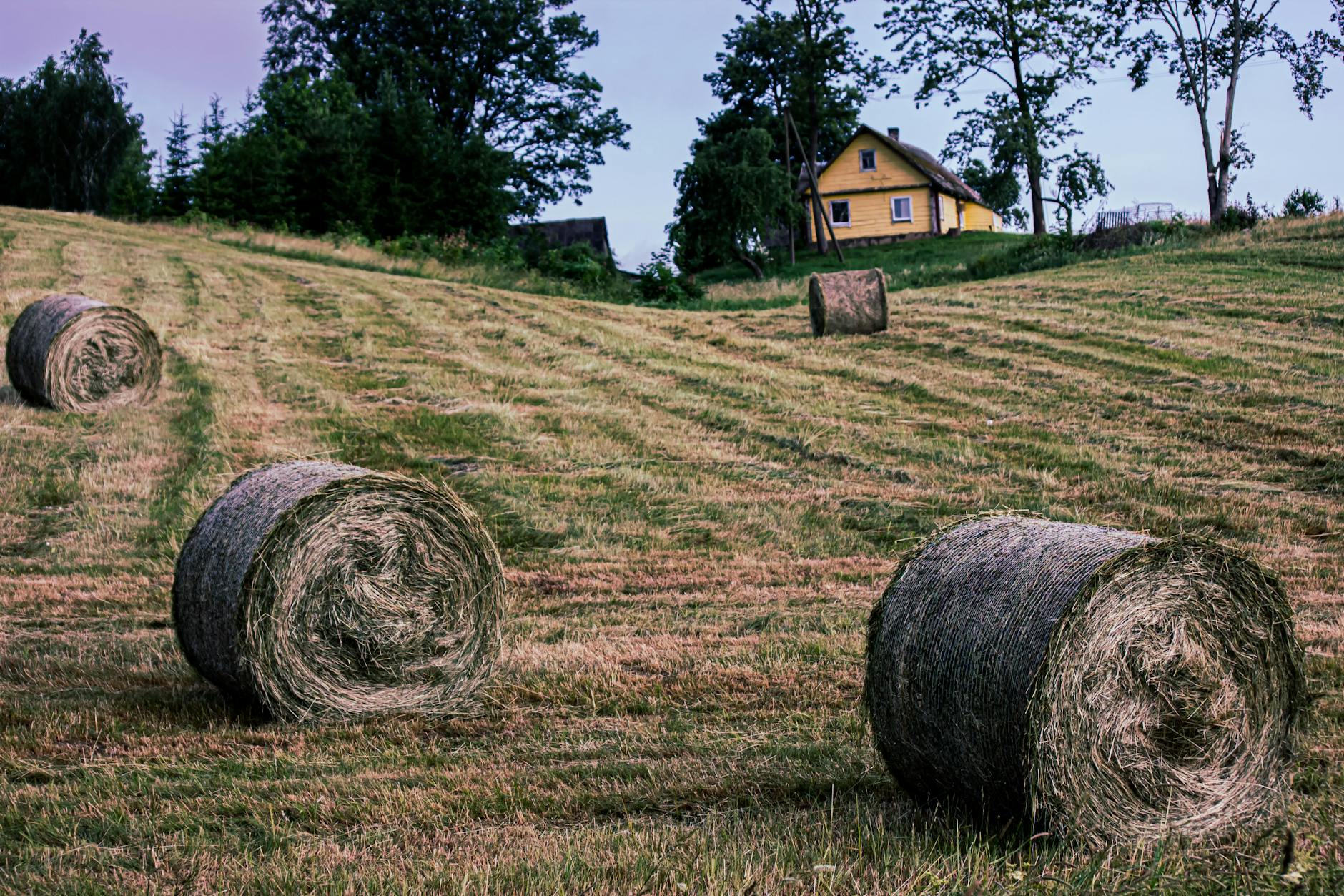 House Agriculture Leaders Press Trump to Appoint CFTC Commissioners