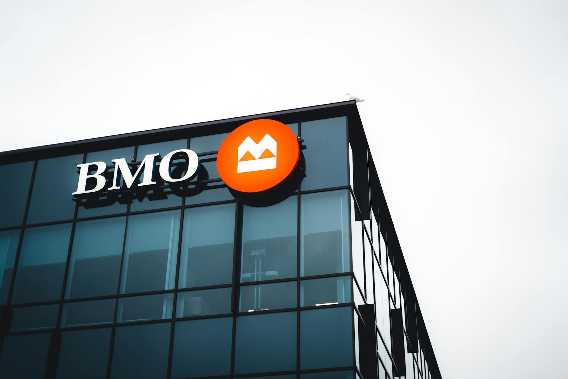 How to Have Strong Brand World in a Noisy Market Today