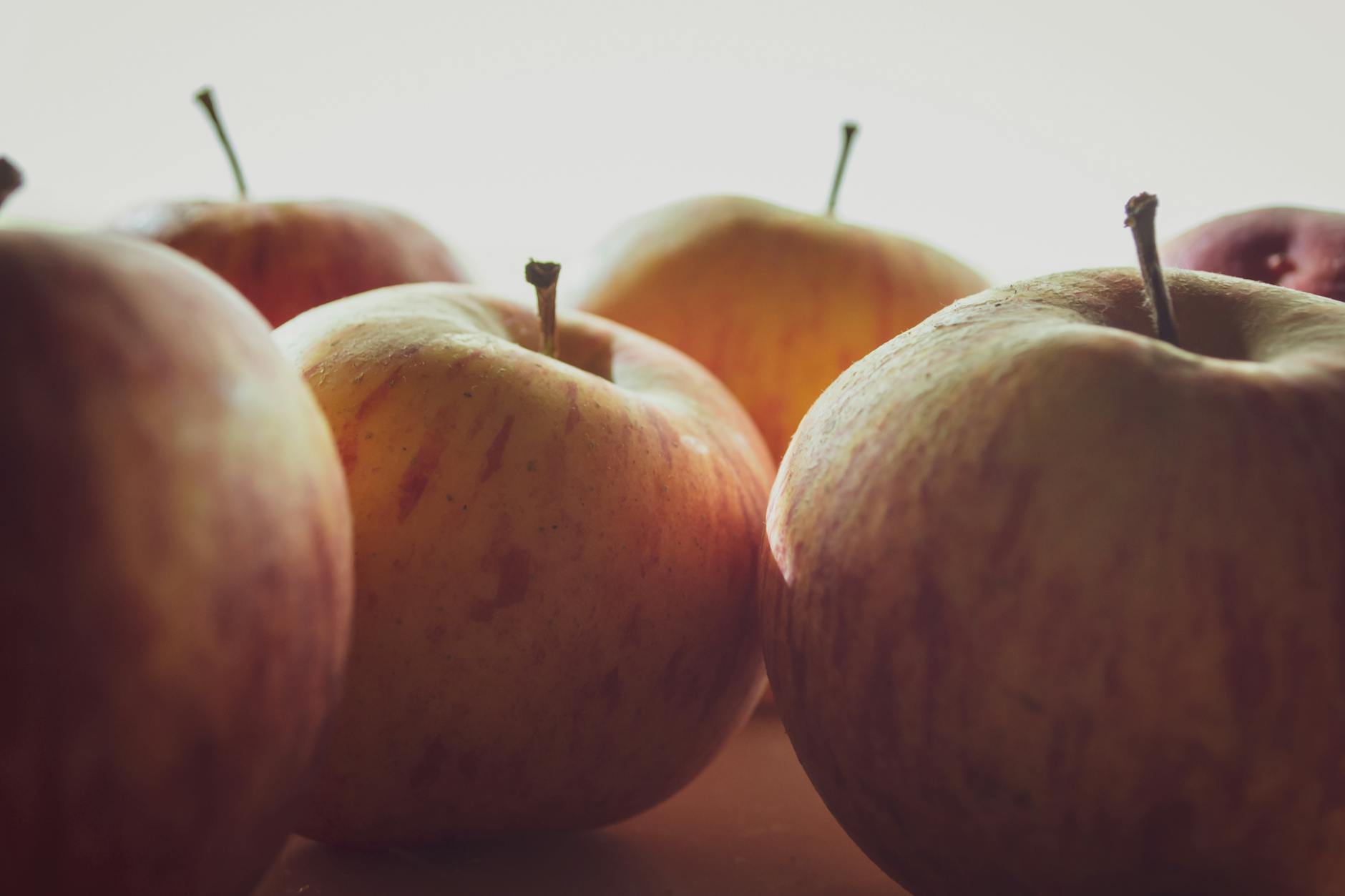 Humane, Founded Apple Vets, Raises $241M with No Customers