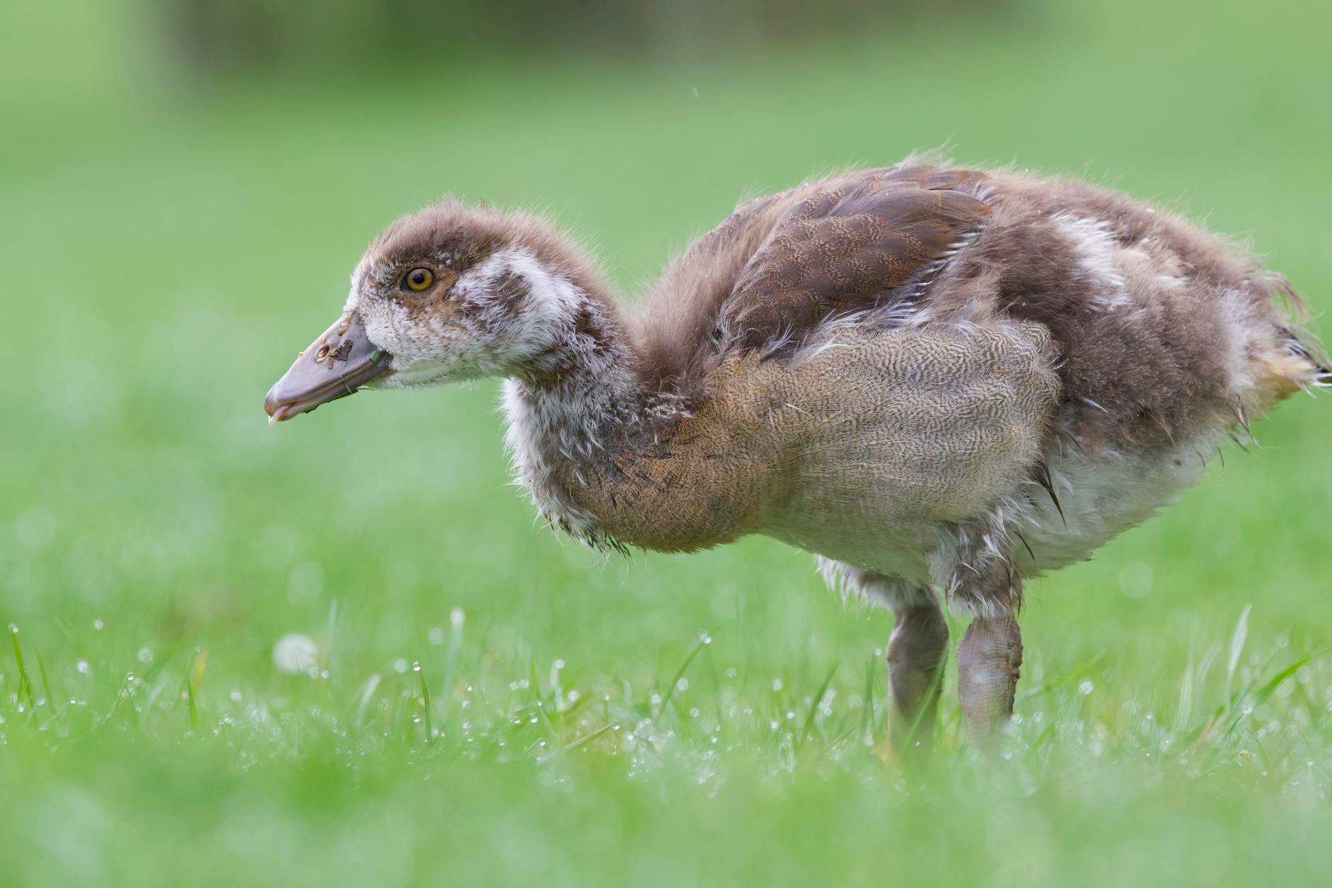 I’m 1980s Most Viral Brand CEO on Staying Power Worldwide