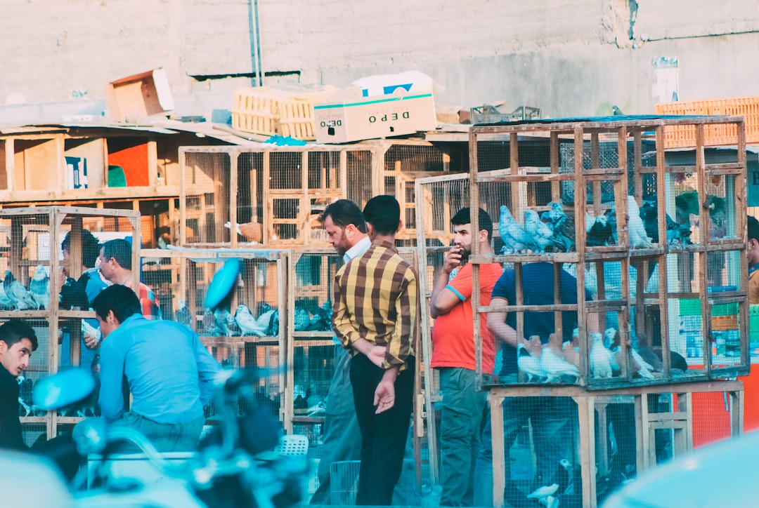 Investors Priced 6-Week IRAQ Again, Markets Worry Today