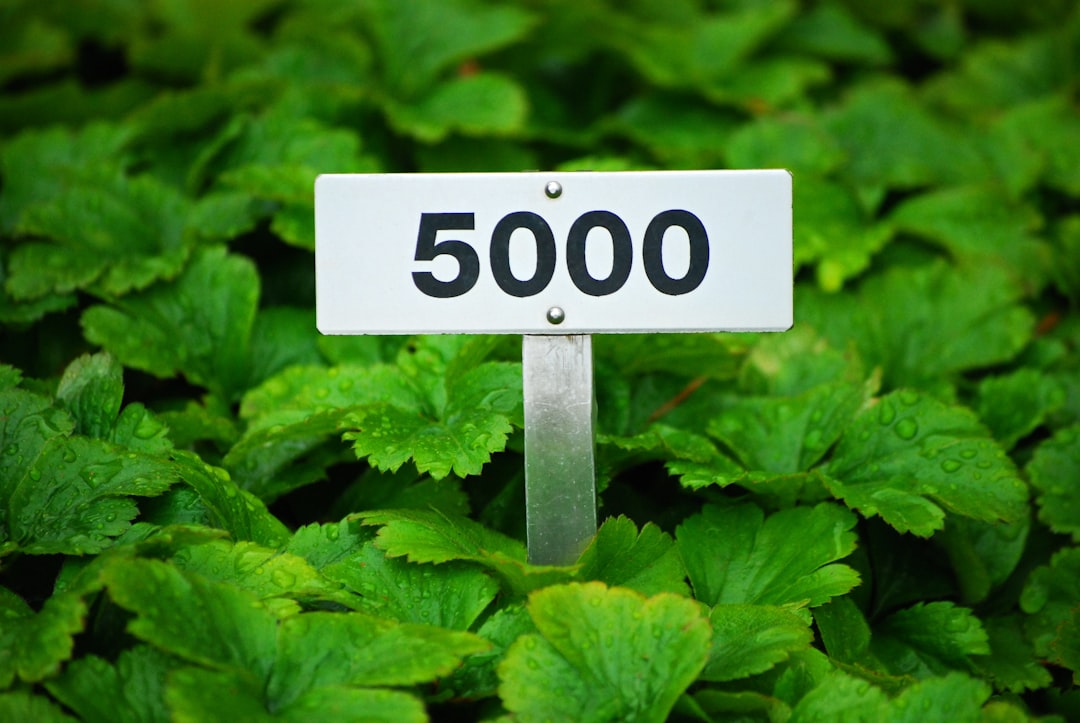 Is $500K in Index Funds Enough for Financial Independence?