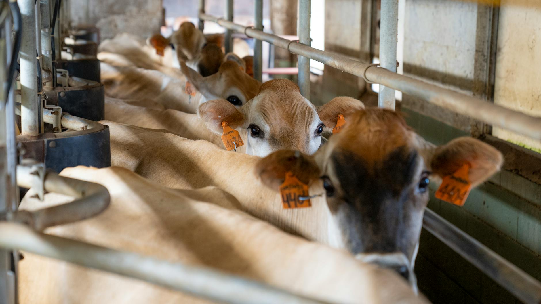 Jersey Reverse Mortgage Counseling Sparks NJ Debate