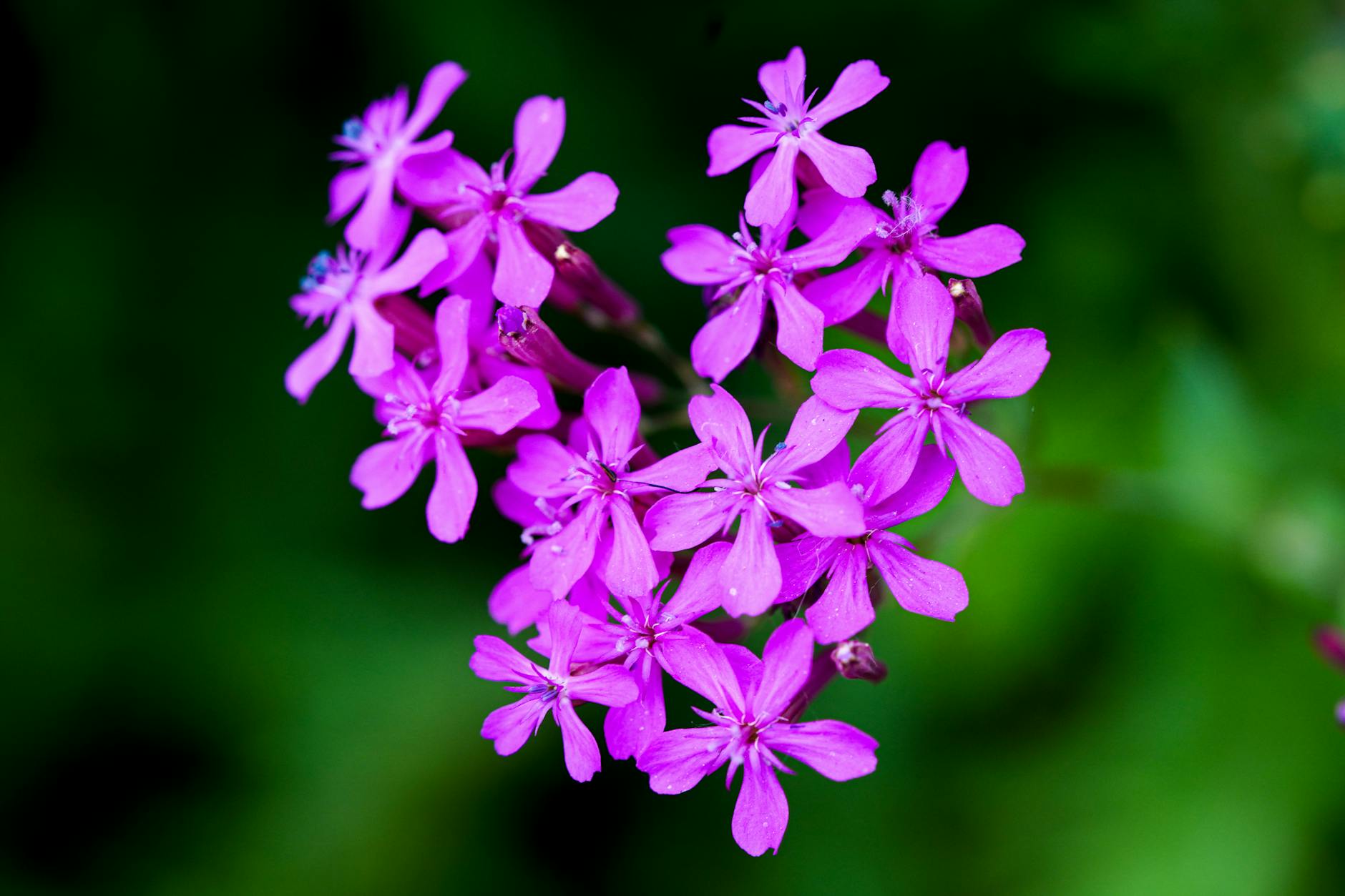 Keller Williams Unveils Revamped Command Platform Today