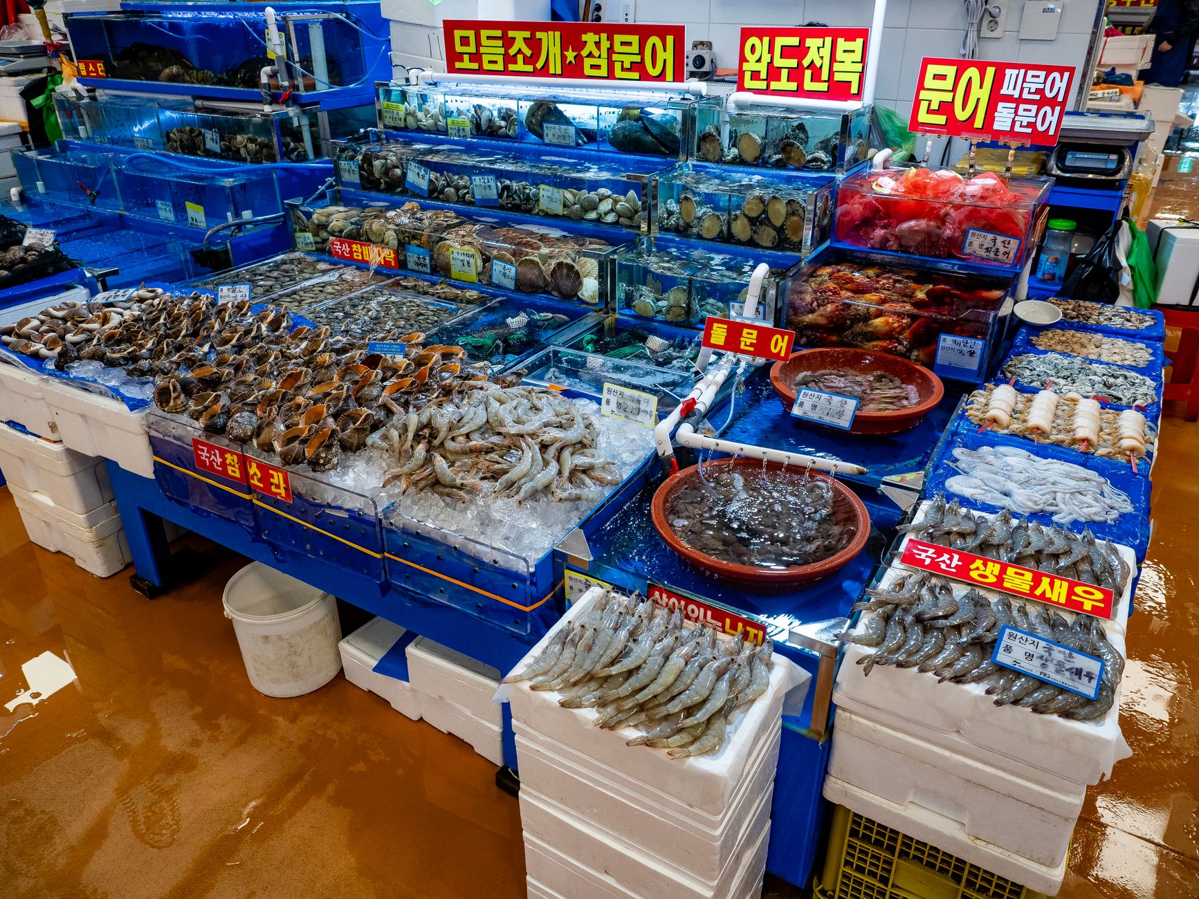 Korean Stock Market Just Plunged; Nasdaq Watch Tightens