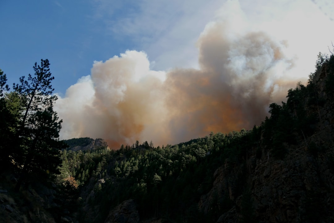 Last Year ‘Quiet’ Wildfires Triggered Record Insurance Costs