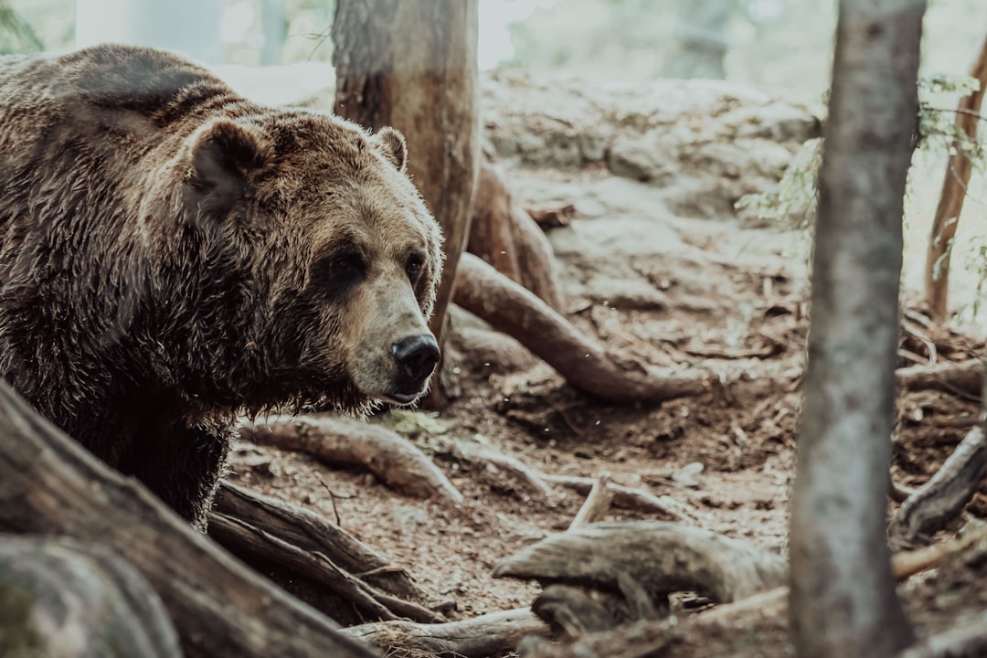 Latest Bear Market Victim: Swell Shuts Swellchain on L2