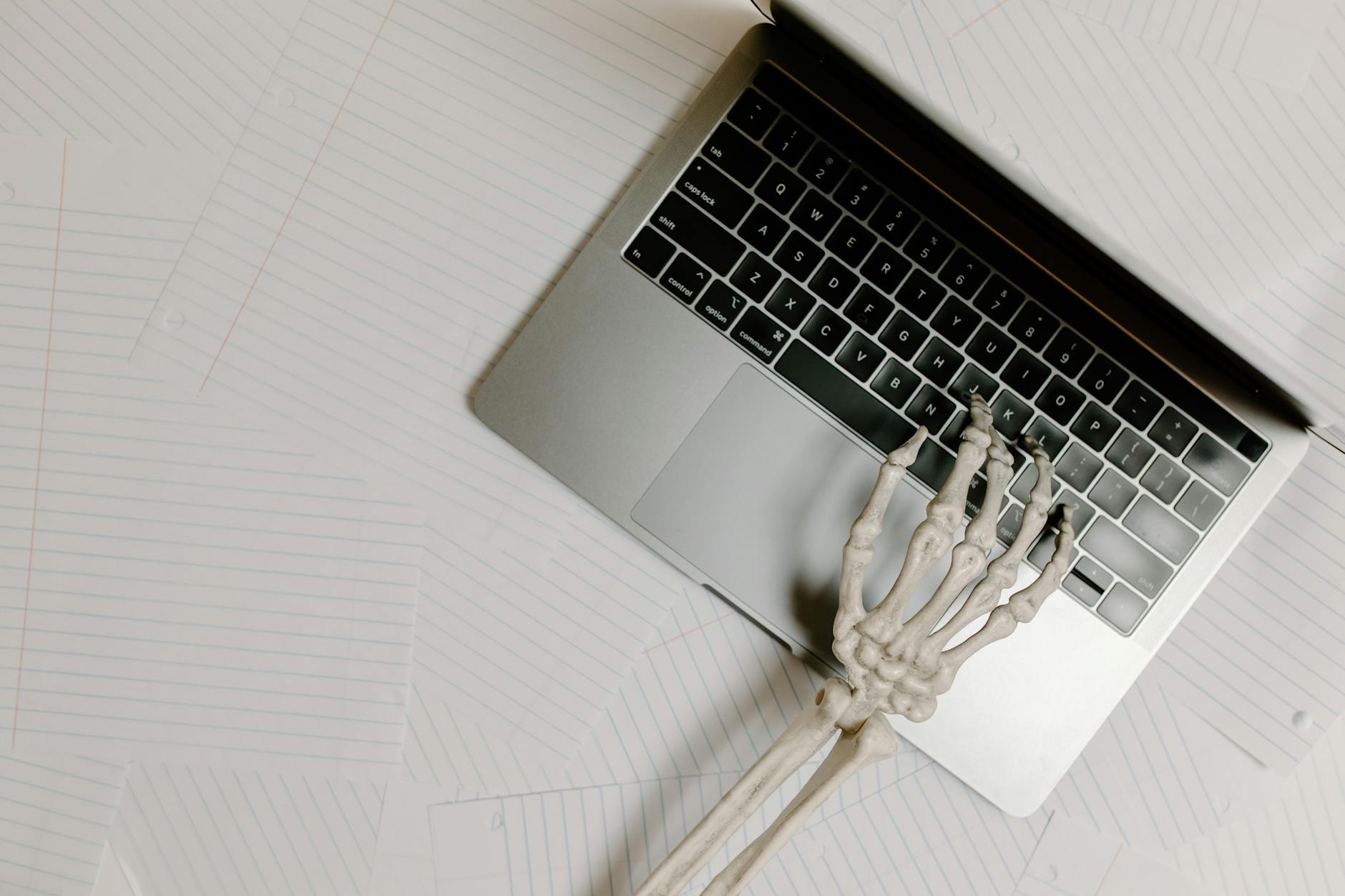 Lemonade Posts First Positive Cash Flow, Reddit Bullish