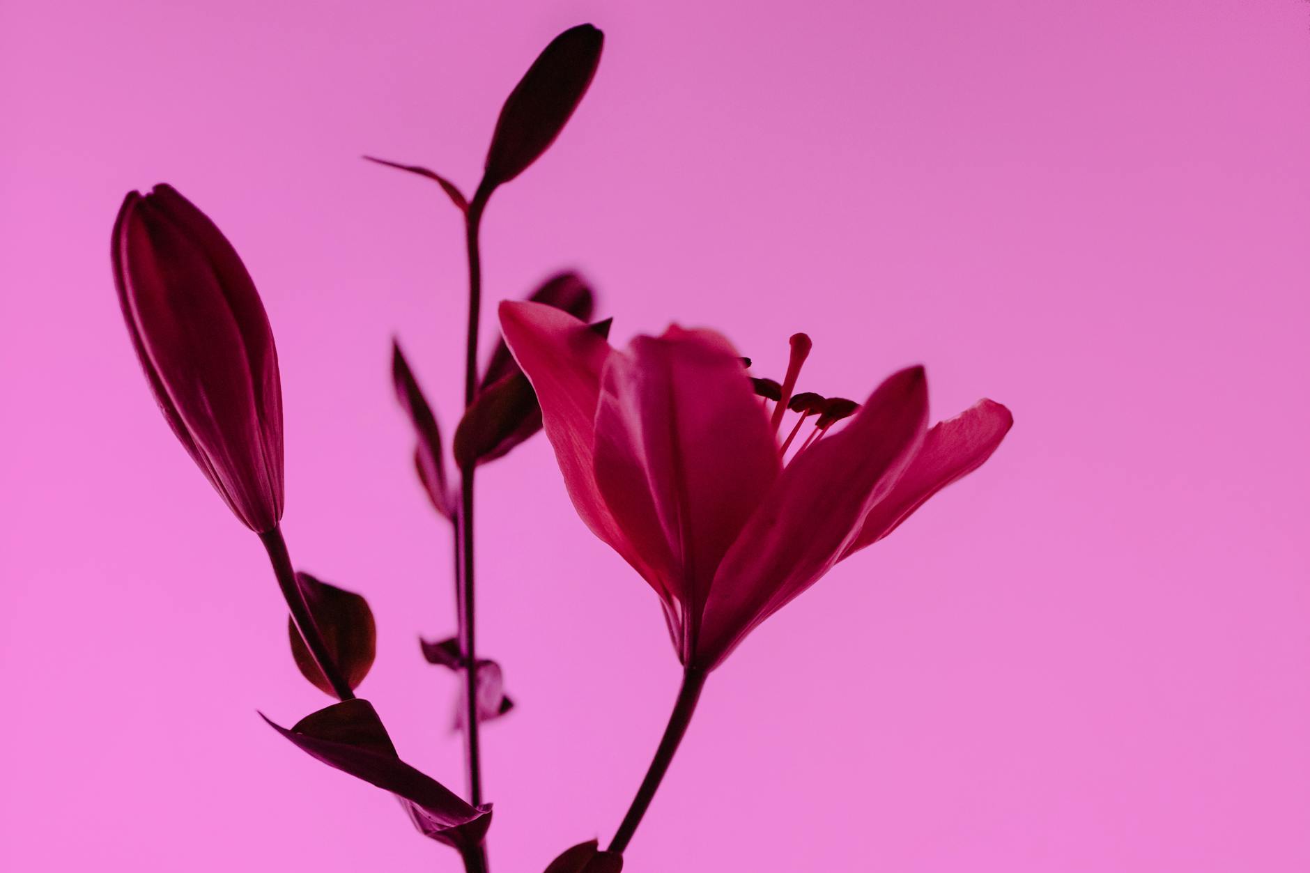 Lilly Bounces Into ‘Sell in May’ Territory Amid Pricing Pressure