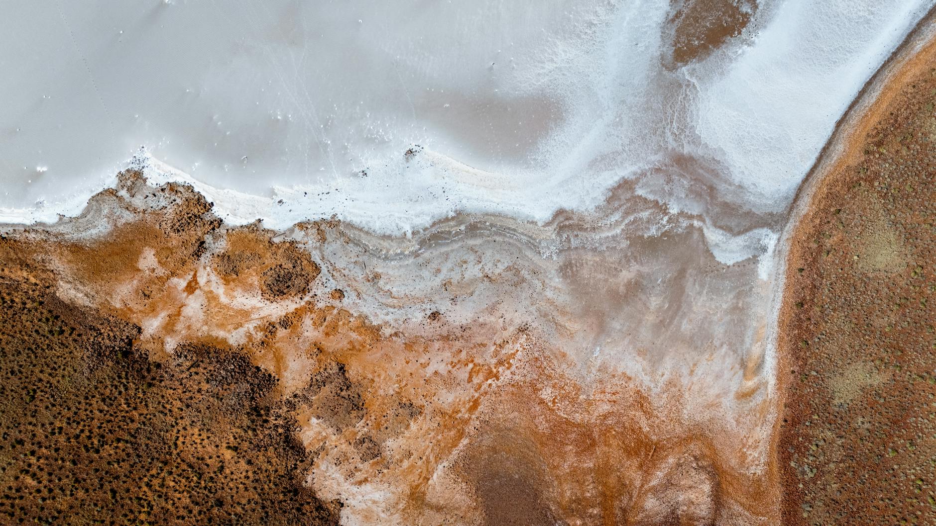 Lithium Gold Rush Just Minted a $1B Unicorn — EnergyX Breakthrough