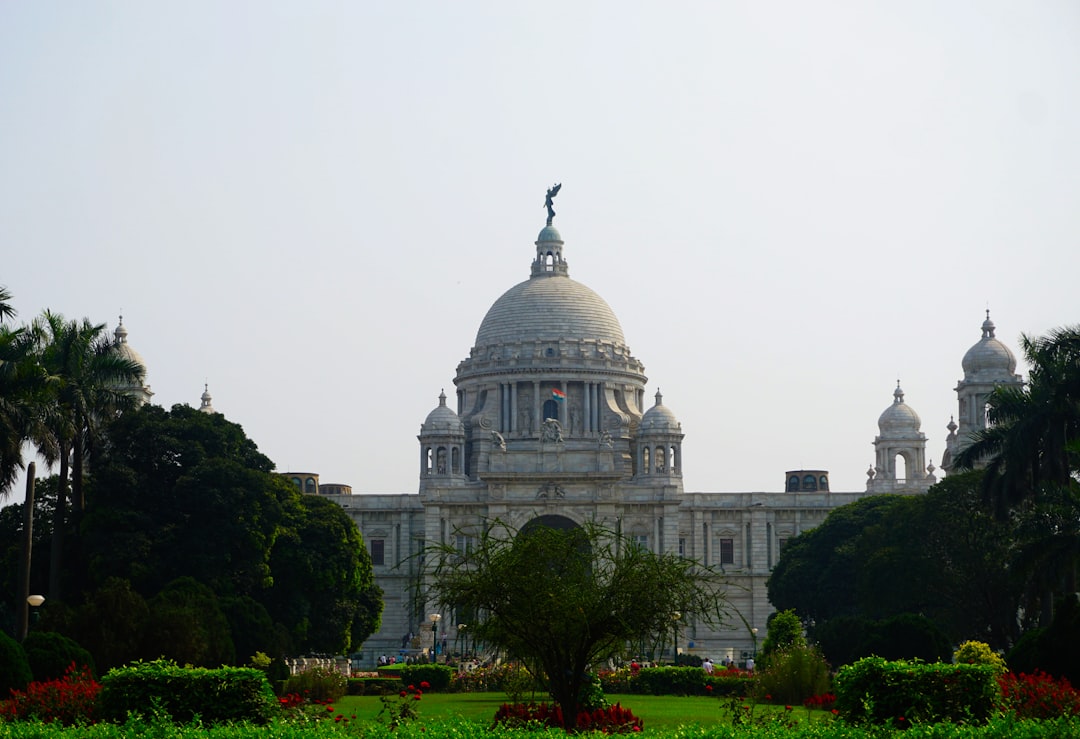 Major Governance Platform Tally Shuts Down Amid Regulation