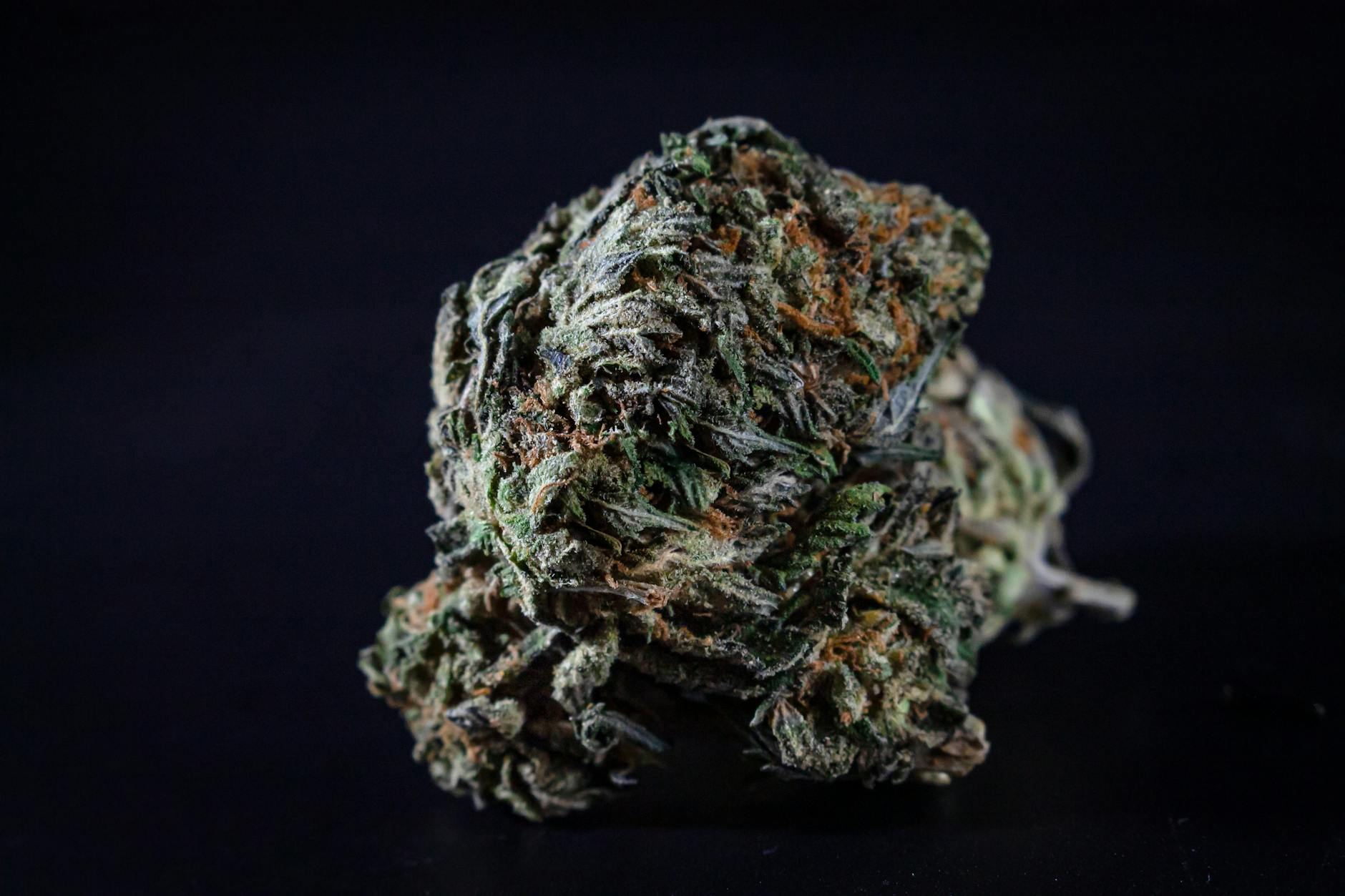 Mark Zuckerberg’s Entourage Threatened with Contempt