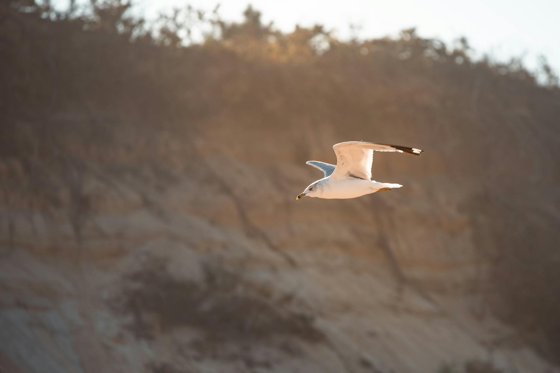 Massachusetts Bill Would Mandate Fair Housing Education